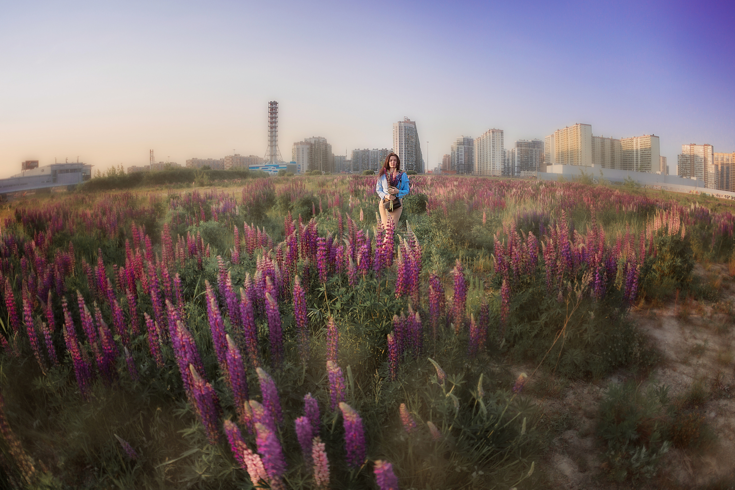 Фотосессия в люпинах с Ольгой. Детский и семейный фотограф в Санкт-Петербурге Светлана Тарасова