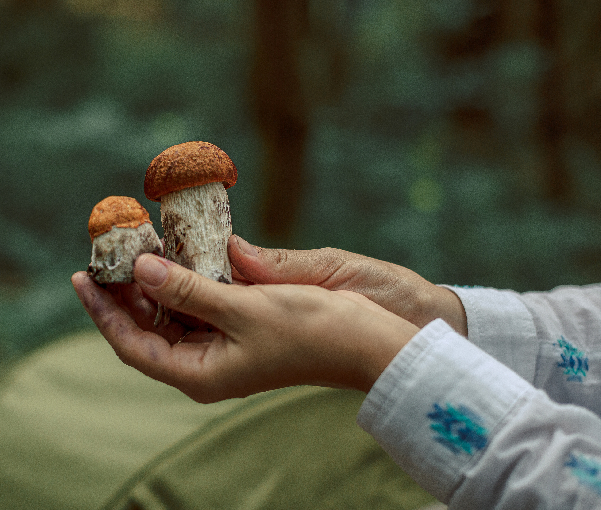 Прогулка Осельки. Детский и семейный фотограф в Санкт-Петербурге Светлана Тарасова