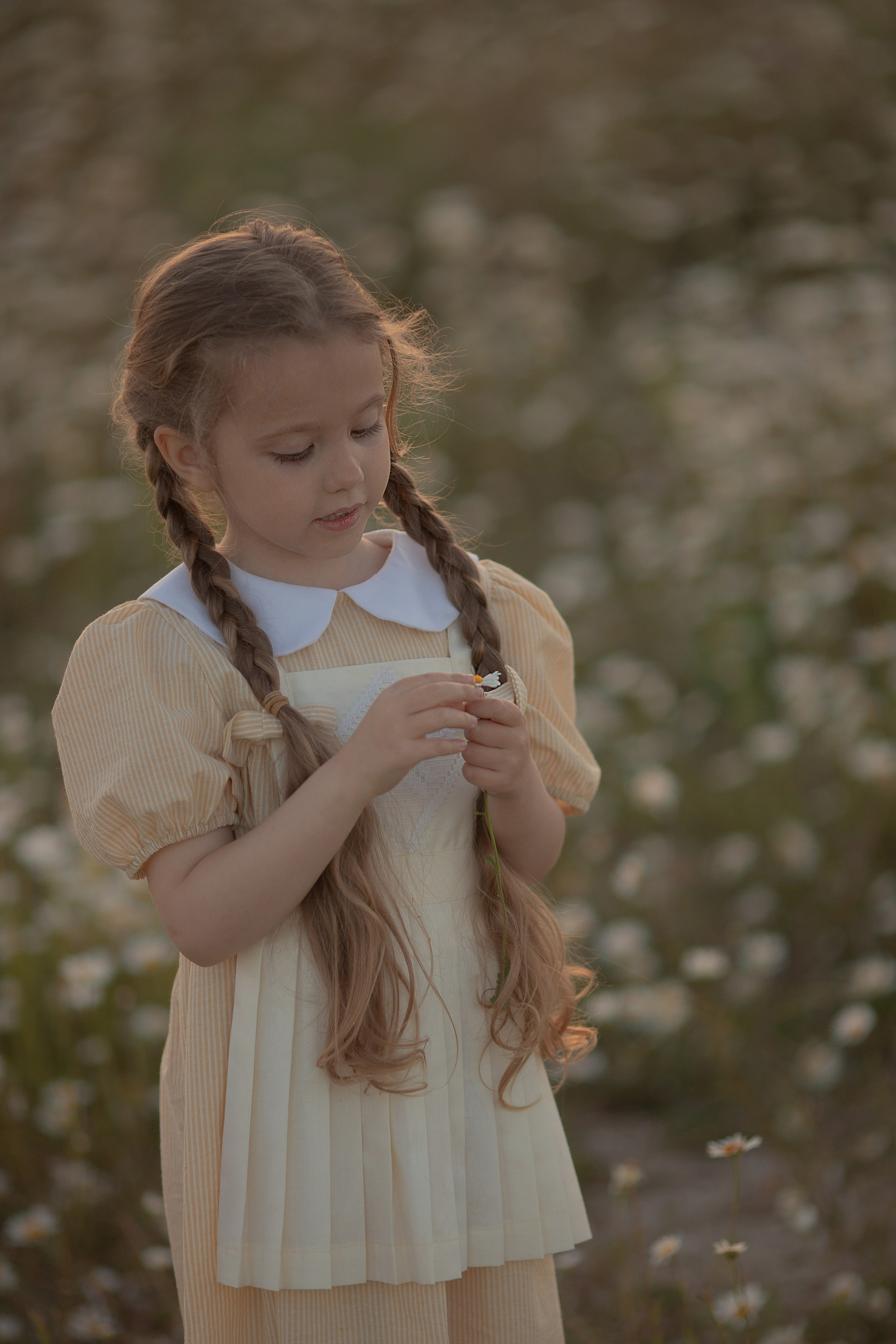 В ромашках. Семейный и детский фотограф в Крыму Екатерина Швец