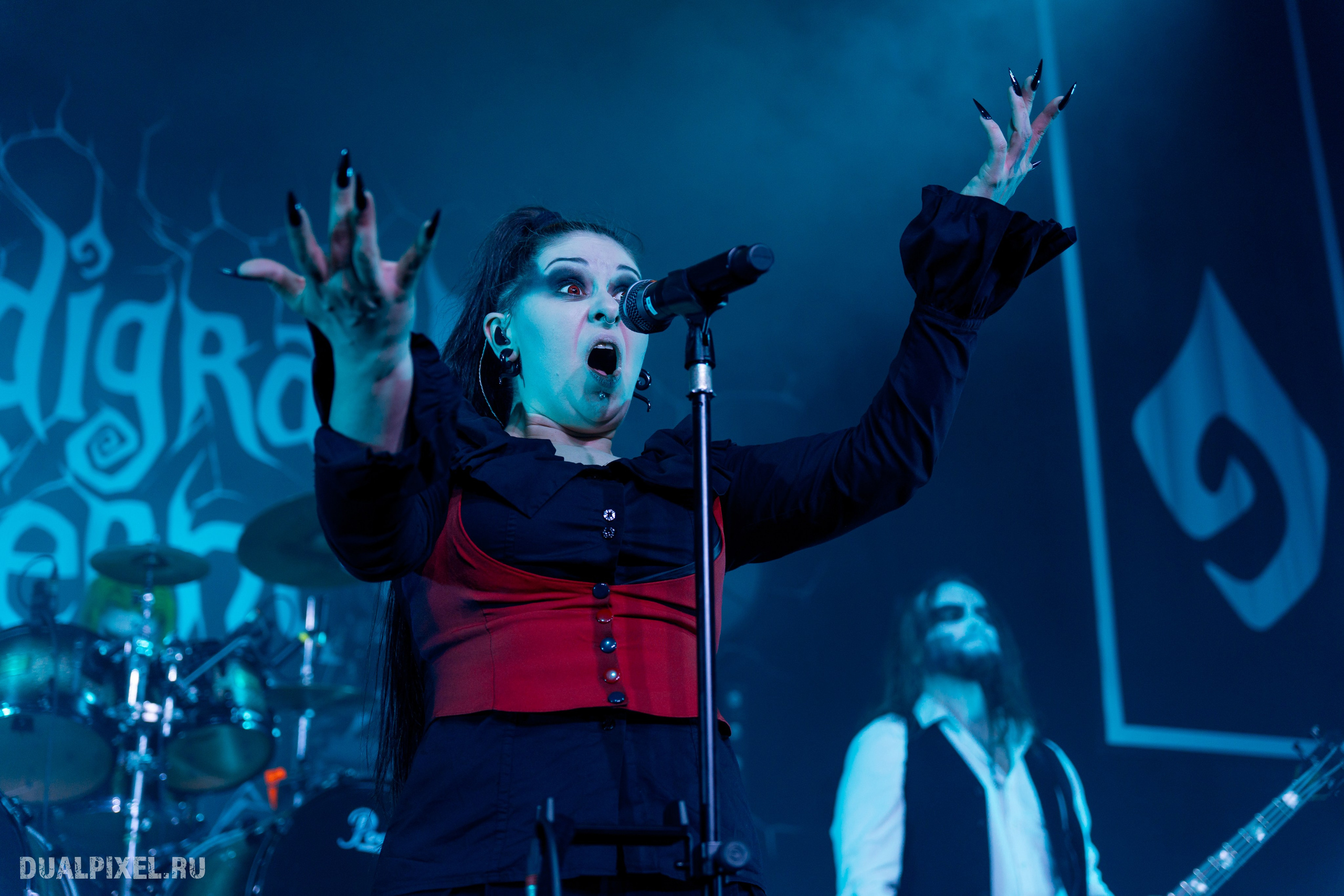 TARDIGRADE INFERNO. Магия музыки в кадре: Концертная Фотография