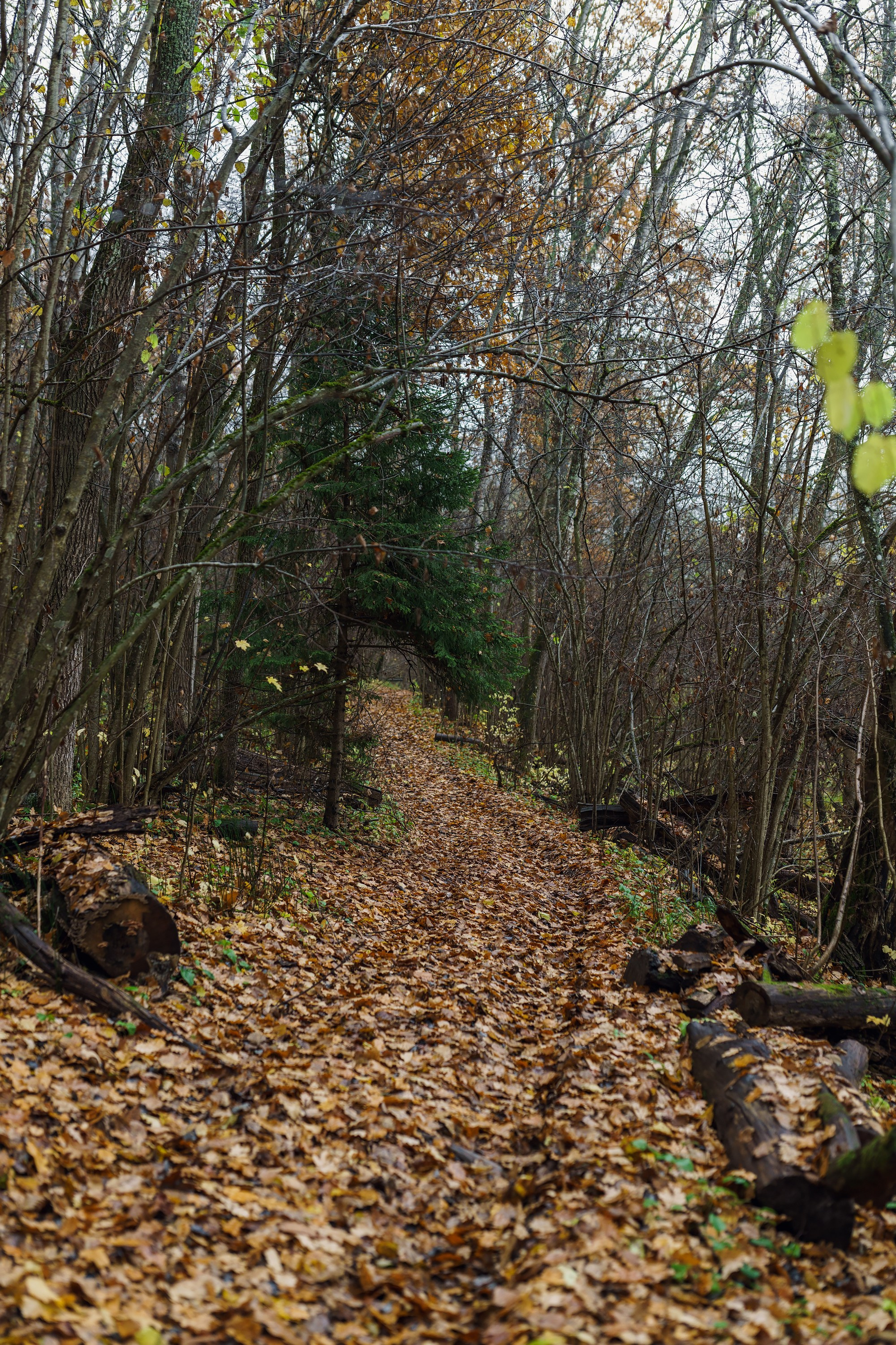 Фотографии Трейл Кутузов 2025. Фотограф спортивные события, недвижимость, турбизнес