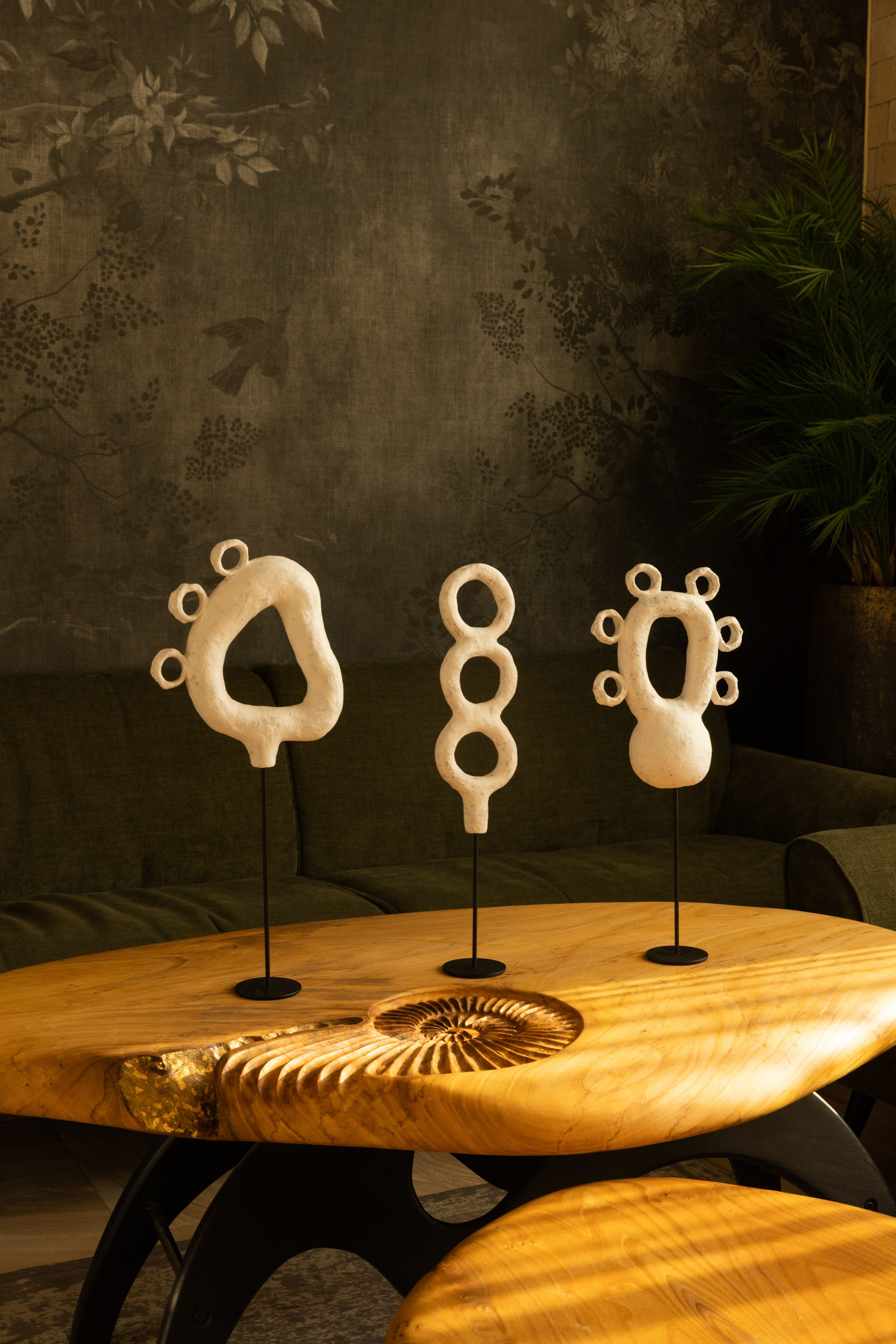 Kseniya Torgashina Designer. Фотограф на Юге России