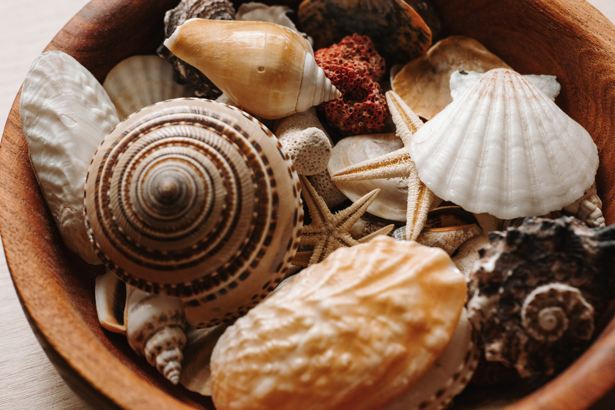 Animal Friendly. Фотограф на Юге России