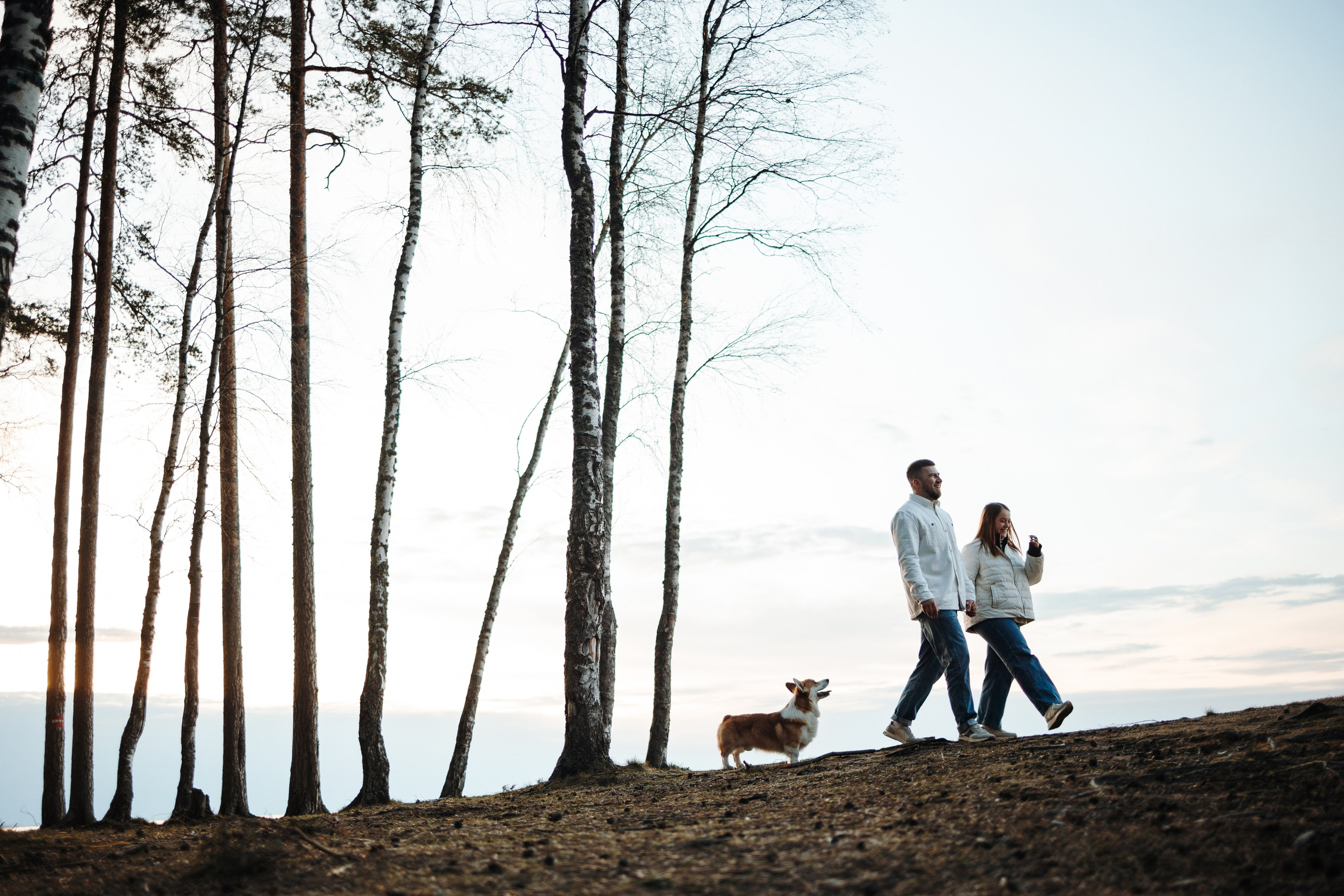 Найт и его семья. Фотограф — Анималист | Санкт-Петербург