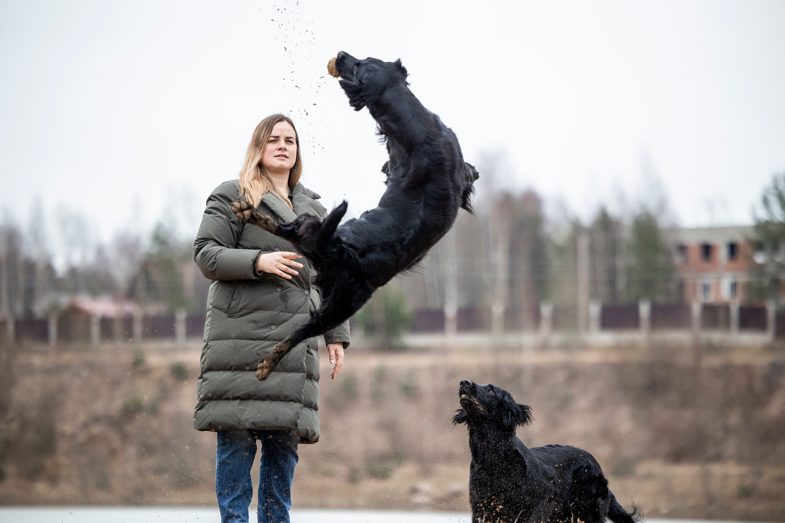 Ора, Ева, Рози и их семья. Фотограф — Анималист | Санкт-Петербург