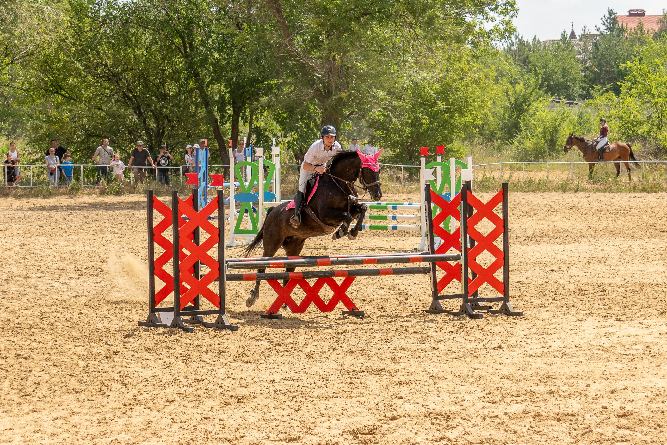 Соревнования по конкуру, Луганск. Фотограф в РФ и ЛНР Юлия Федосеева