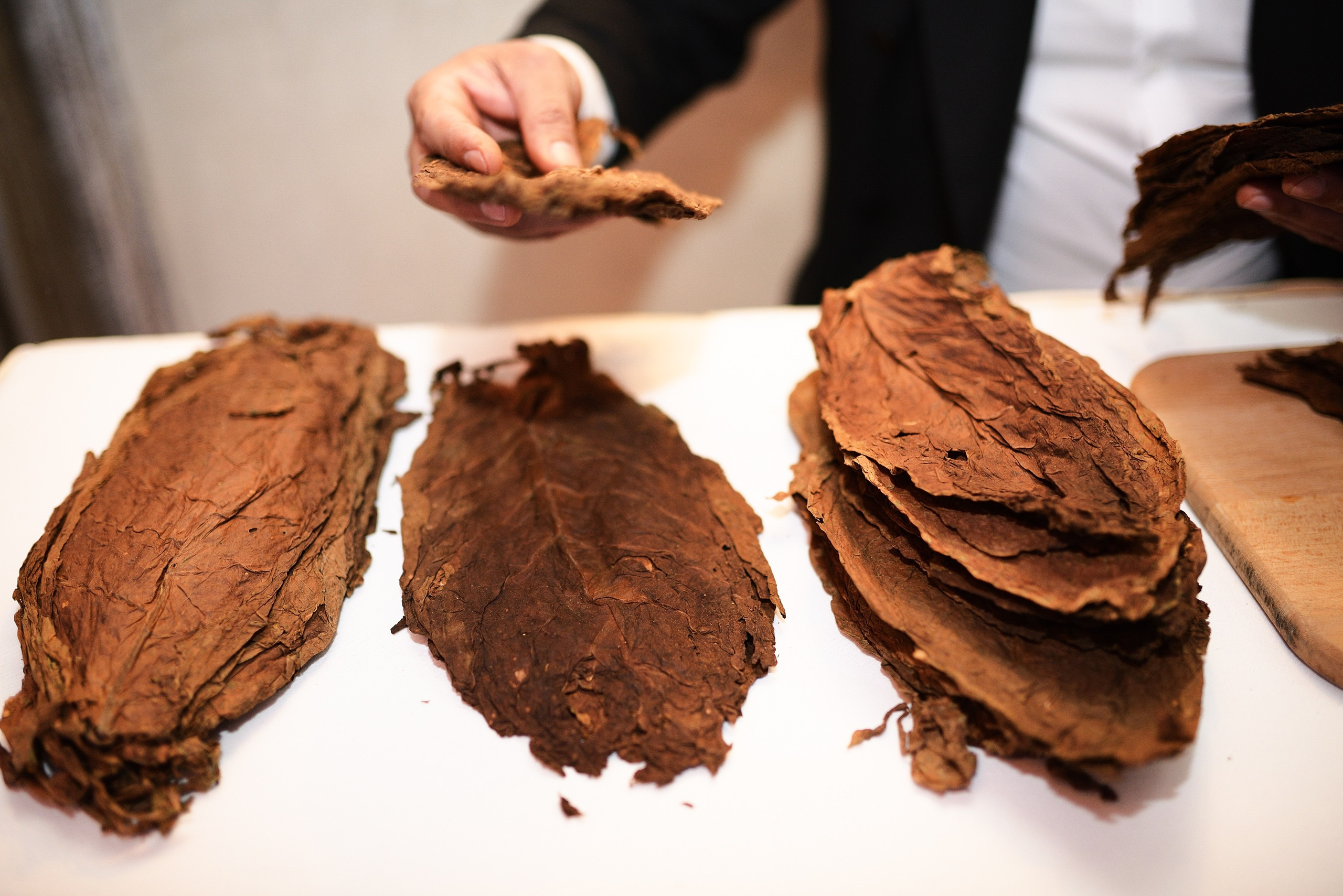 ДР Алексей. Фотограф и видеограф Анна Домашенко