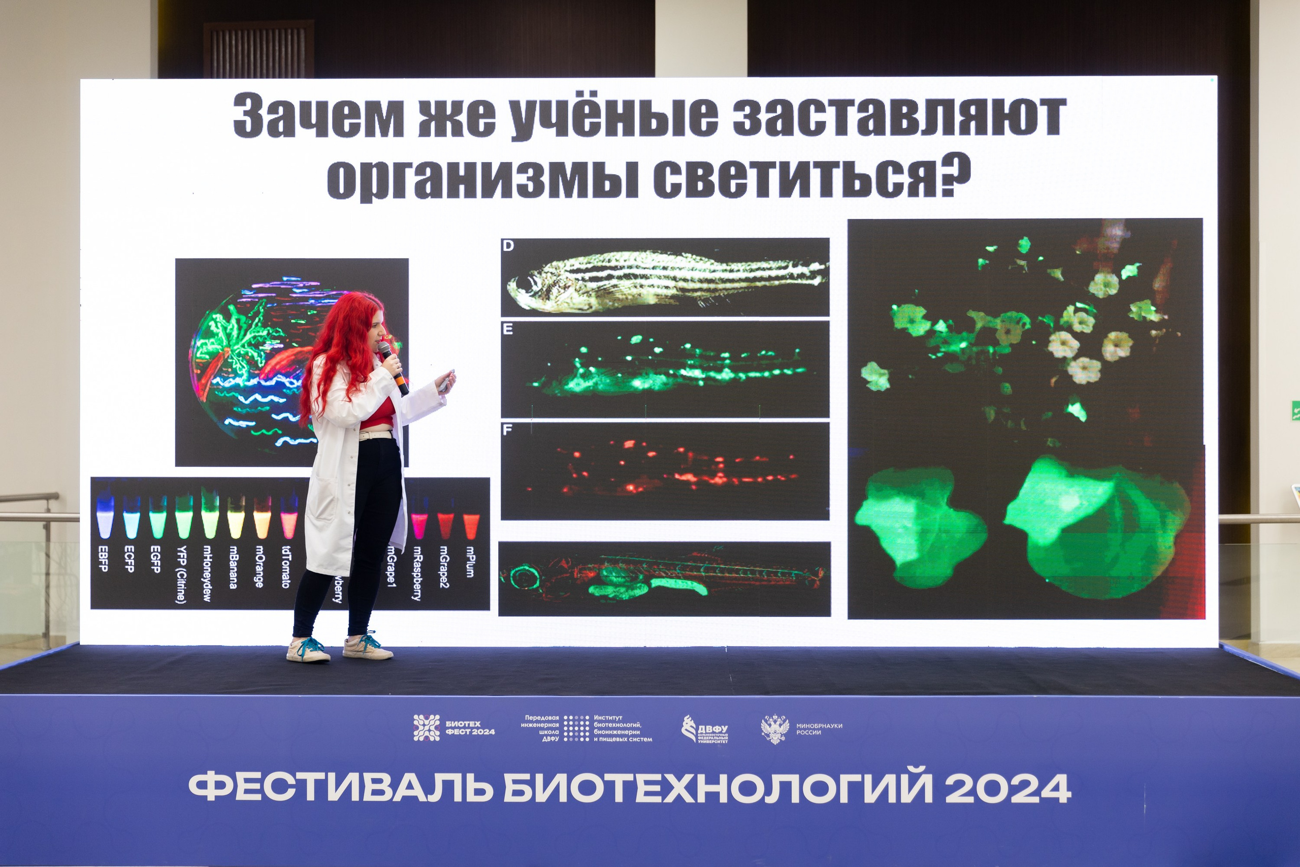 Биотехфест. Репортажный фотограф во Владивостоке
