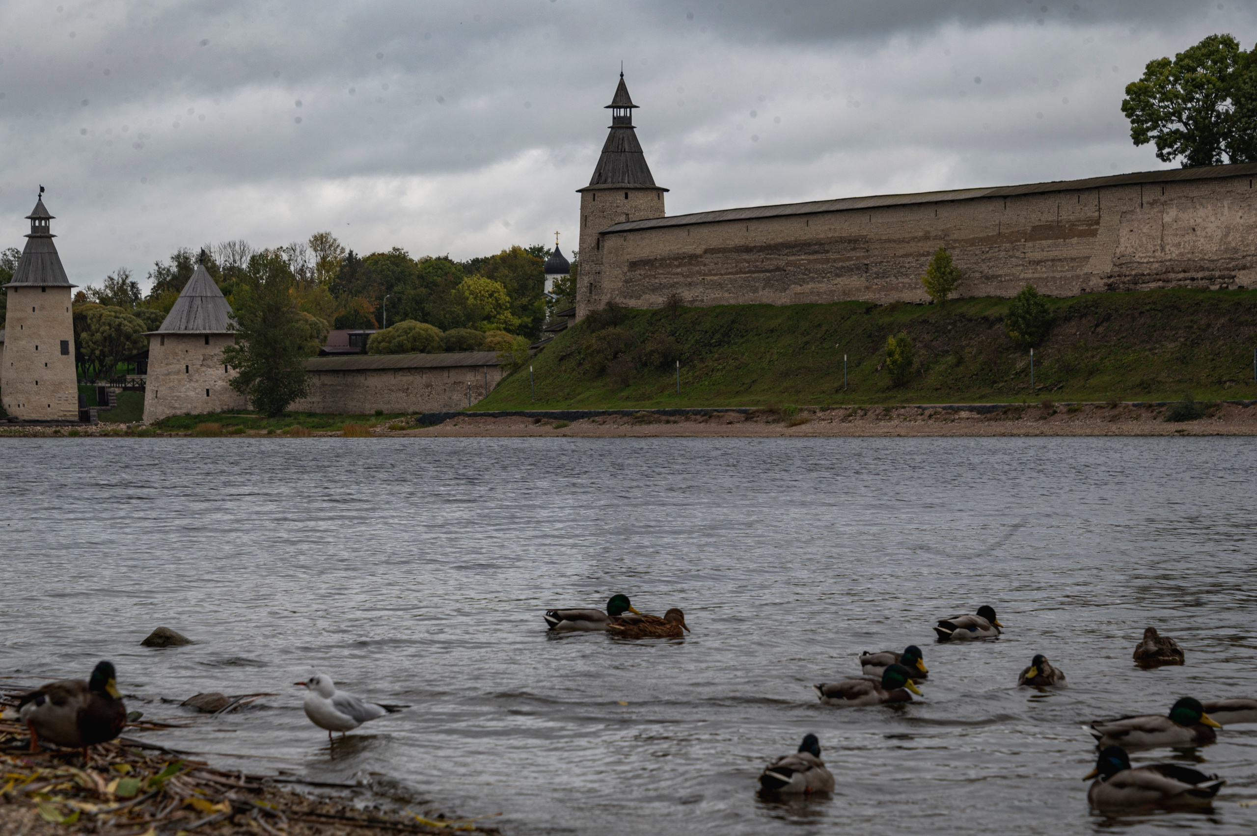 Псков. Октябрь 2023. Фотограф Роман Адлер