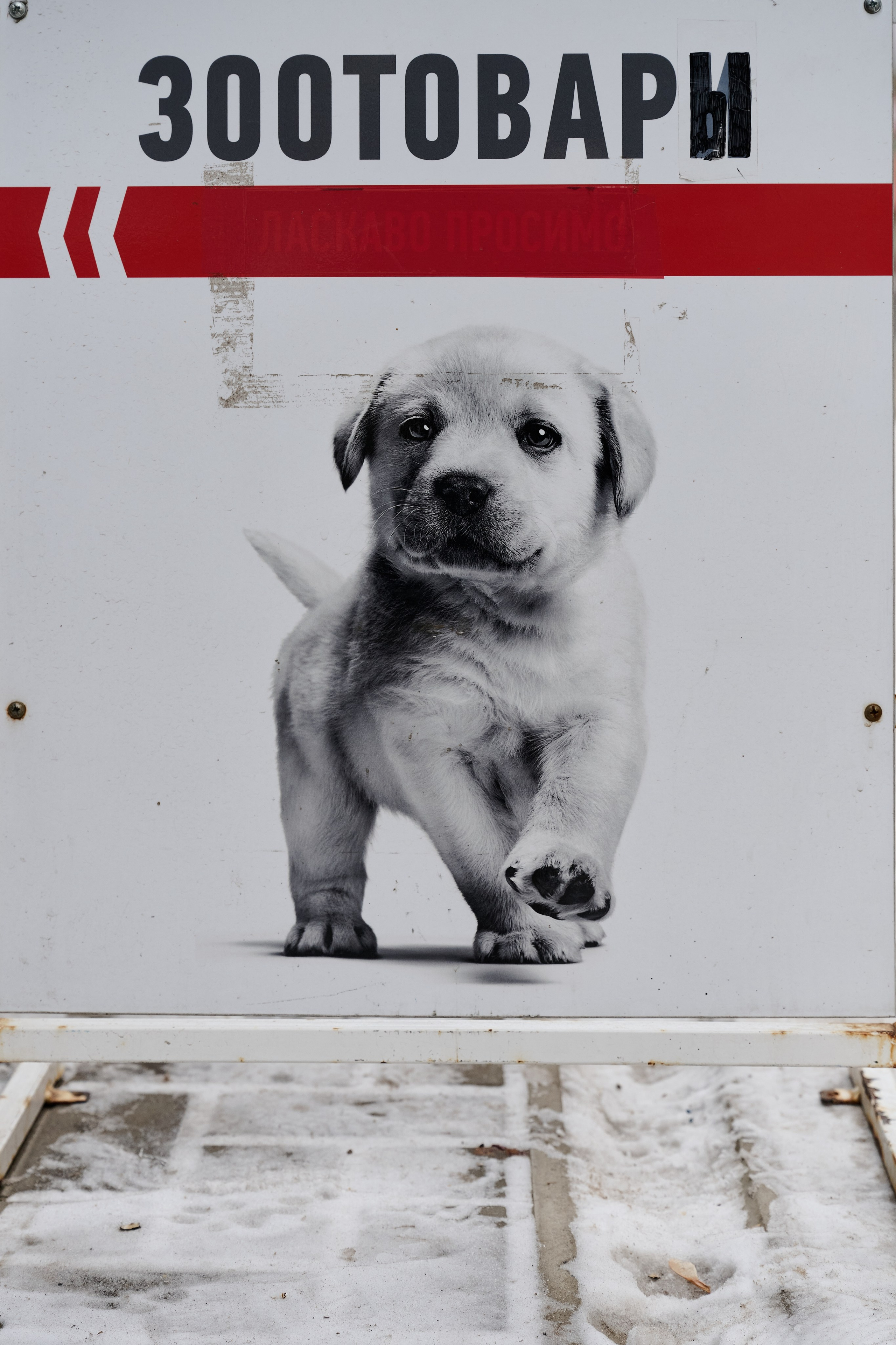 Рубежное. Декабрь 2024. Фотограф Роман Адлер