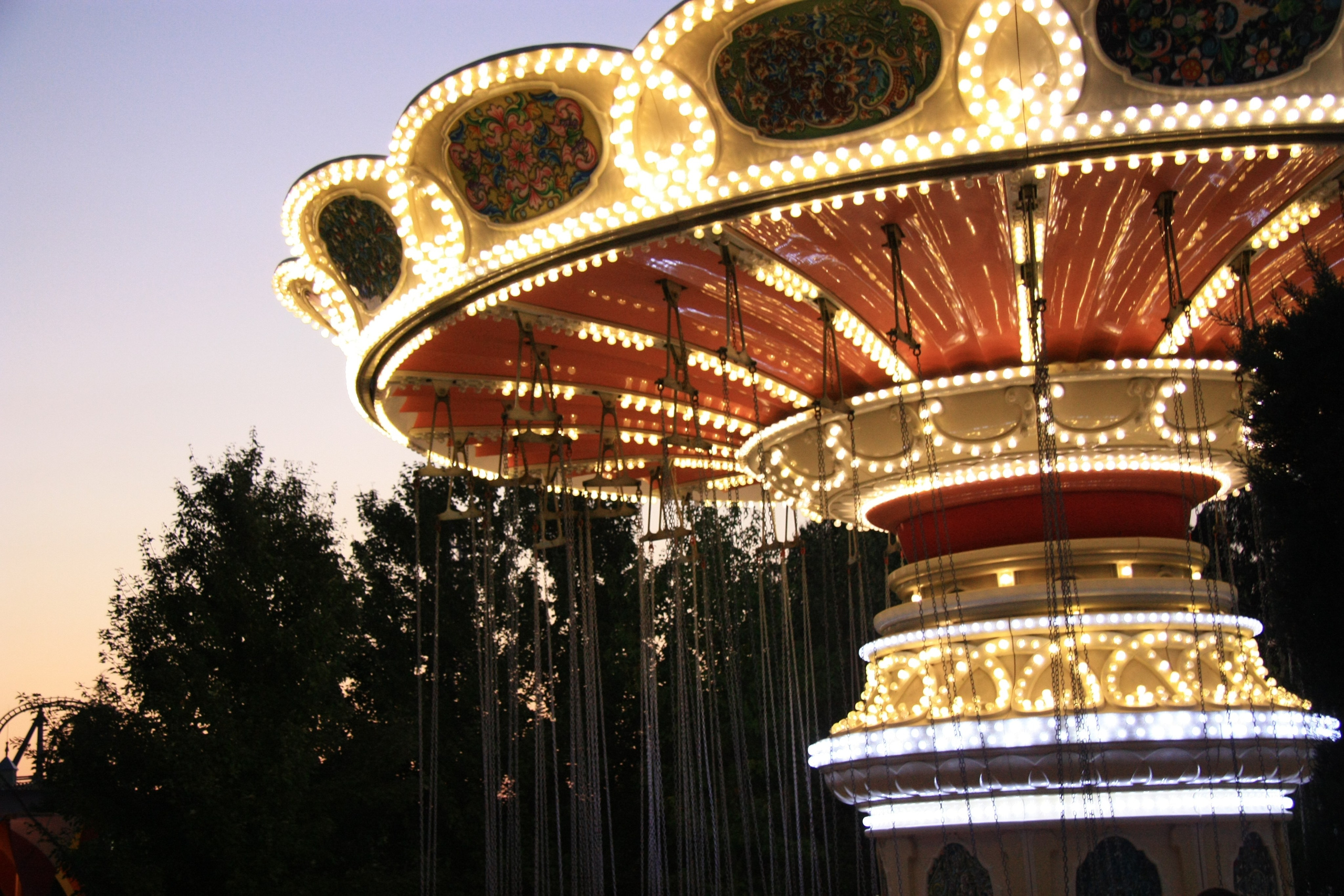 Первые кадры. Сочи — парк. Фотограф Роман Адлер