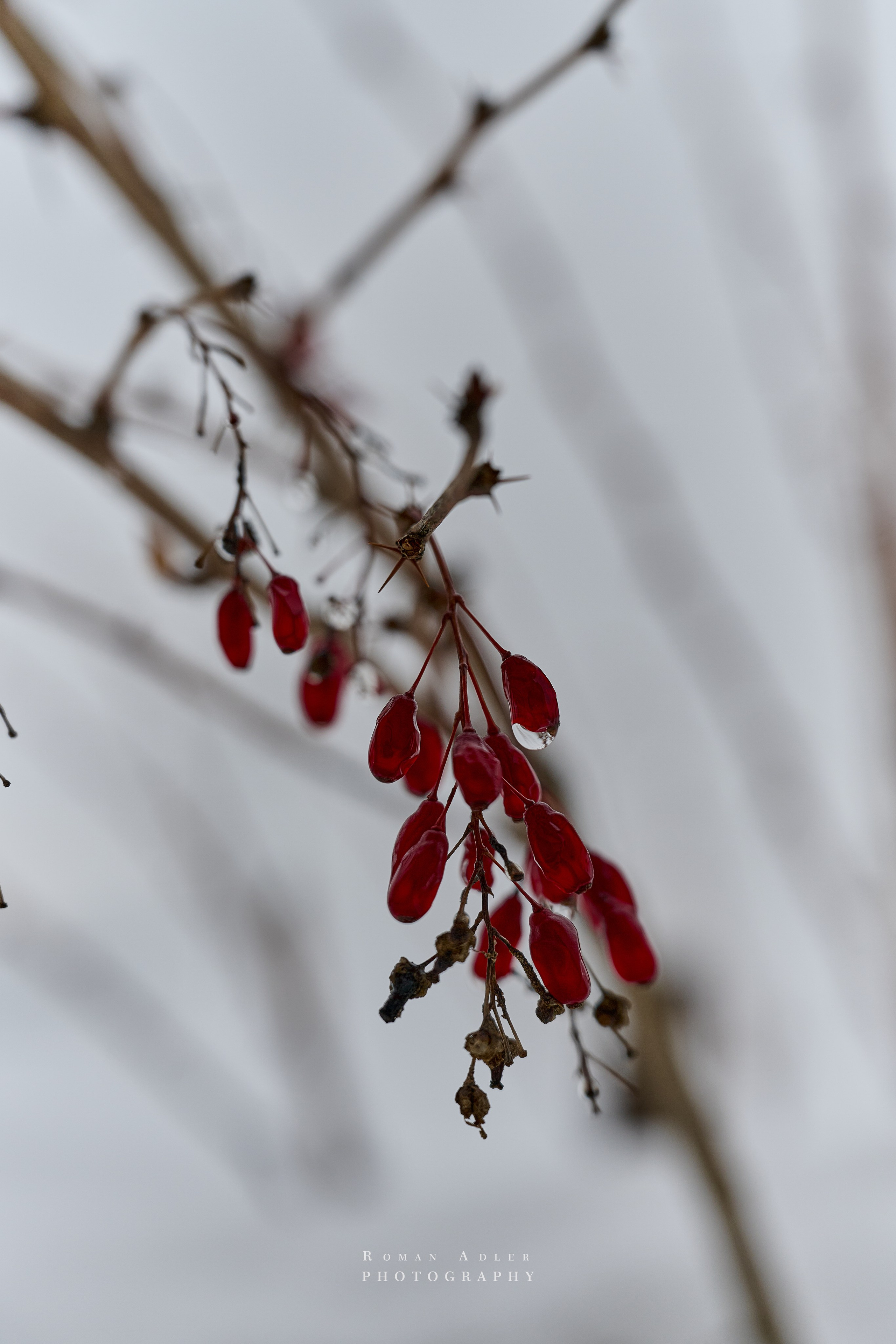 Тобольск. Март 2025. Фотограф Роман Адлер