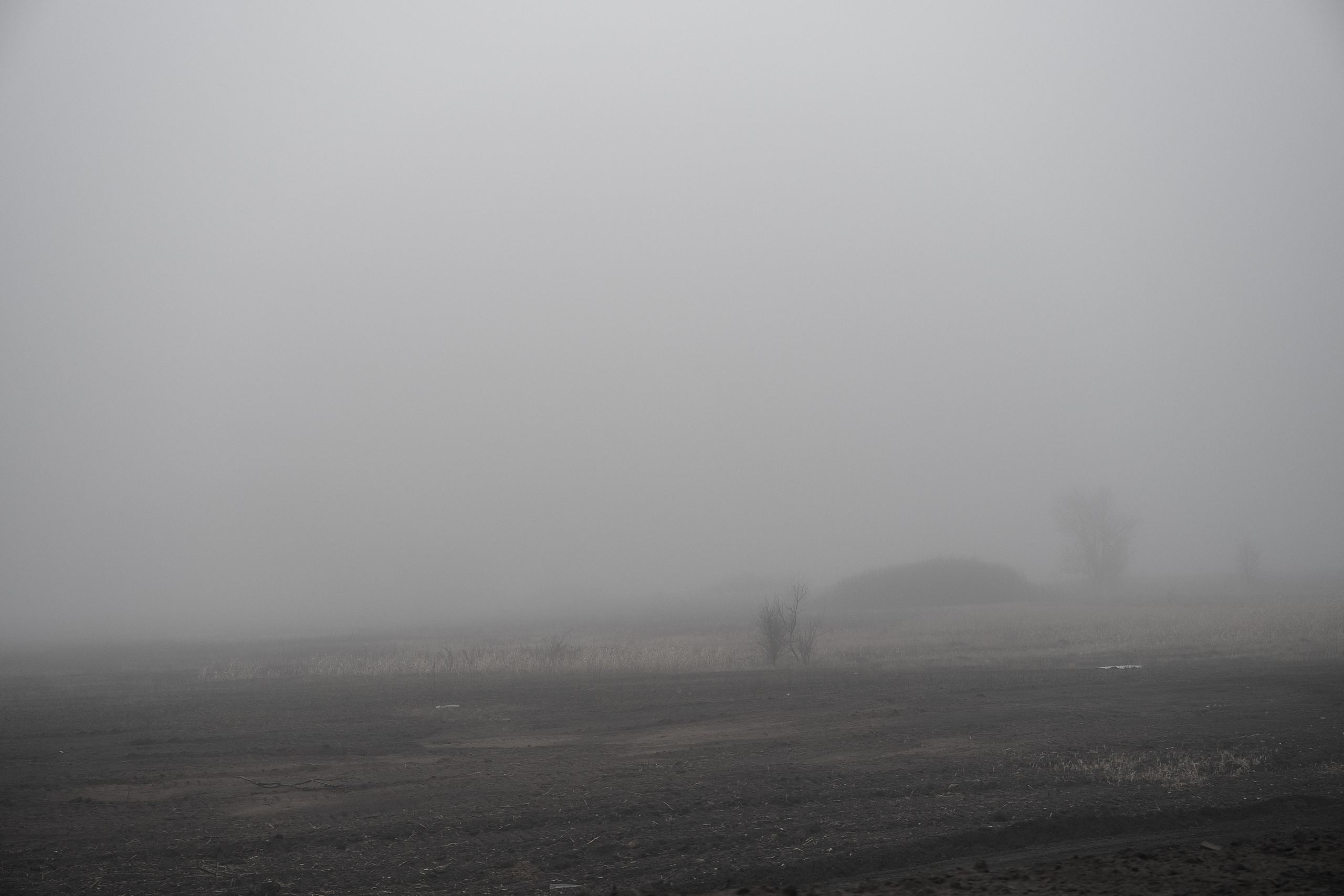 Дорога домой. Туман. Фотограф Роман Адлер