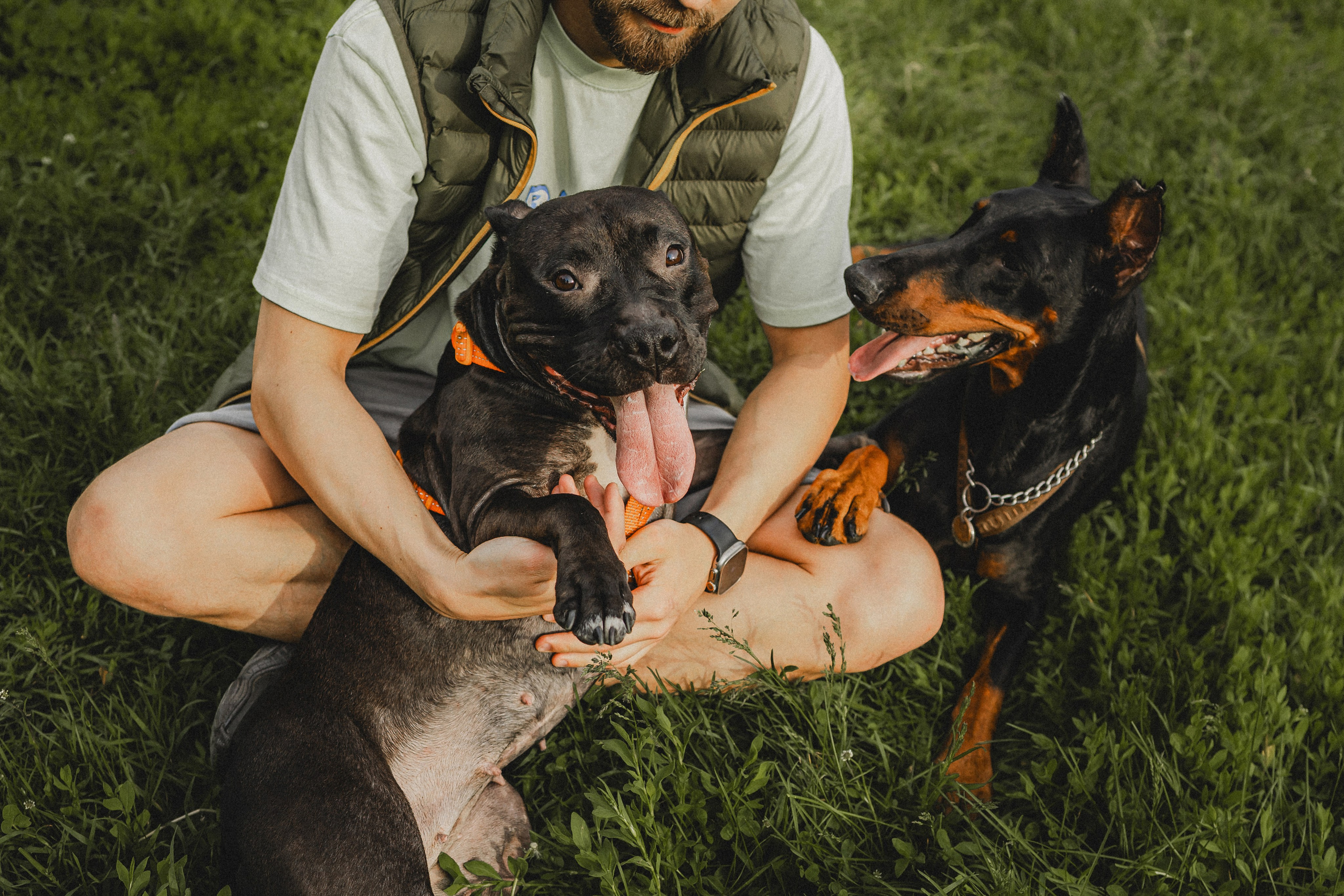 Паша, Хайди и Тея