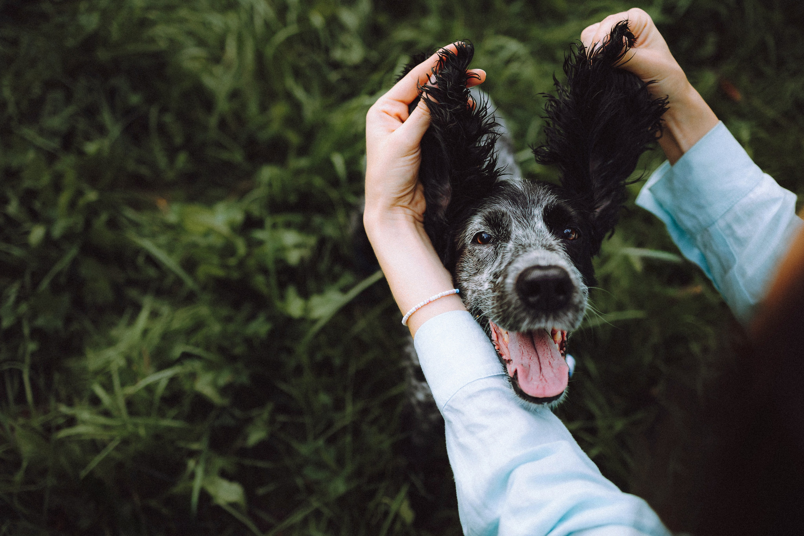 Маша и Ларри