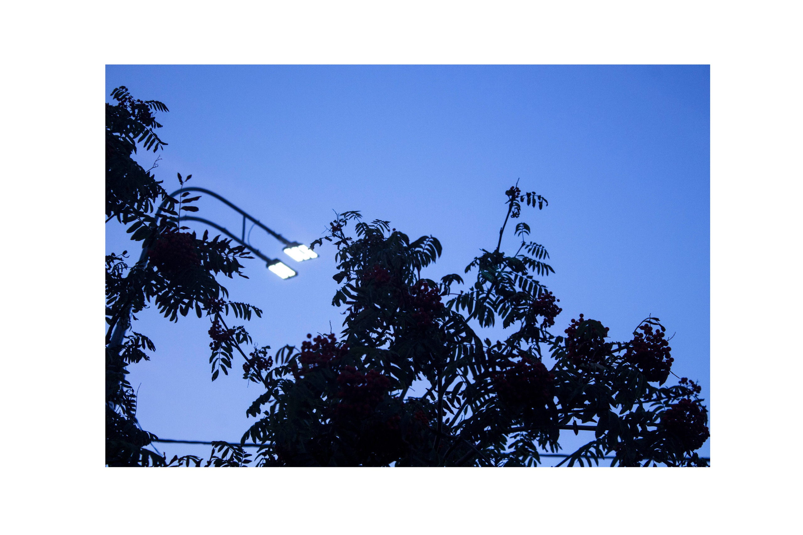 Мои первые работы. Фотограф из Москвы — DASHA NOVA | Авторская фотография в разных жанрах