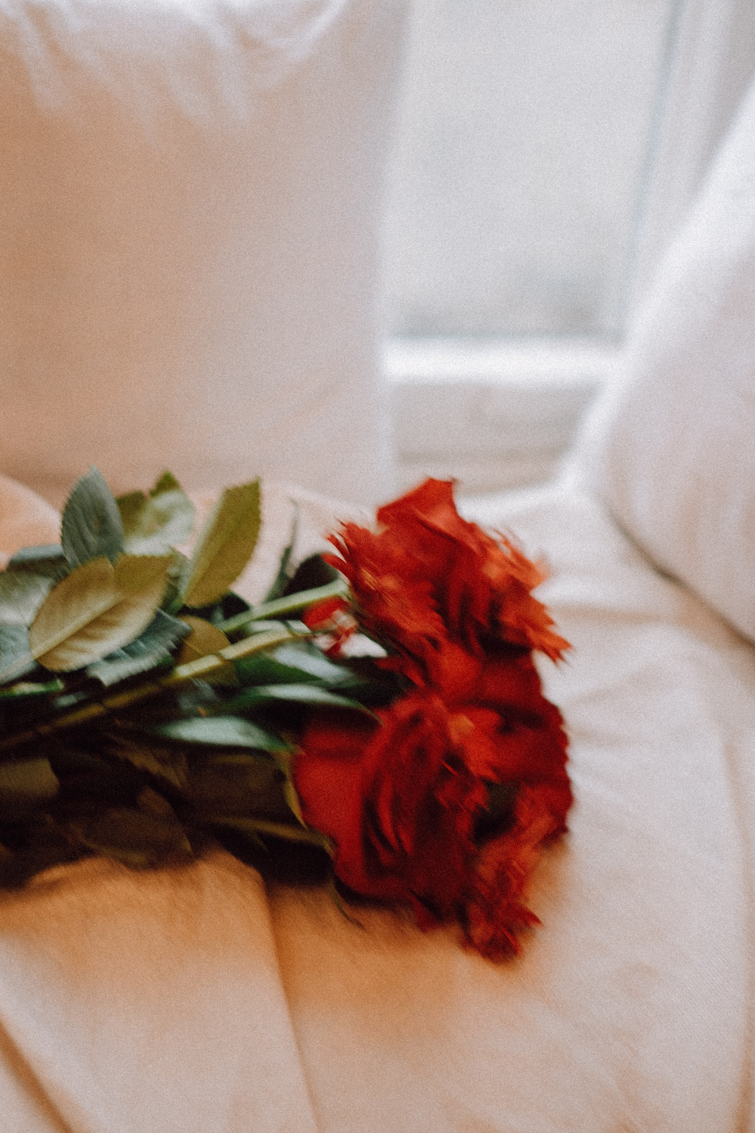 Новогодний стиль вдвоем. Профессиональный фотограф, Санкт-Петербург — Виктория Богомолова