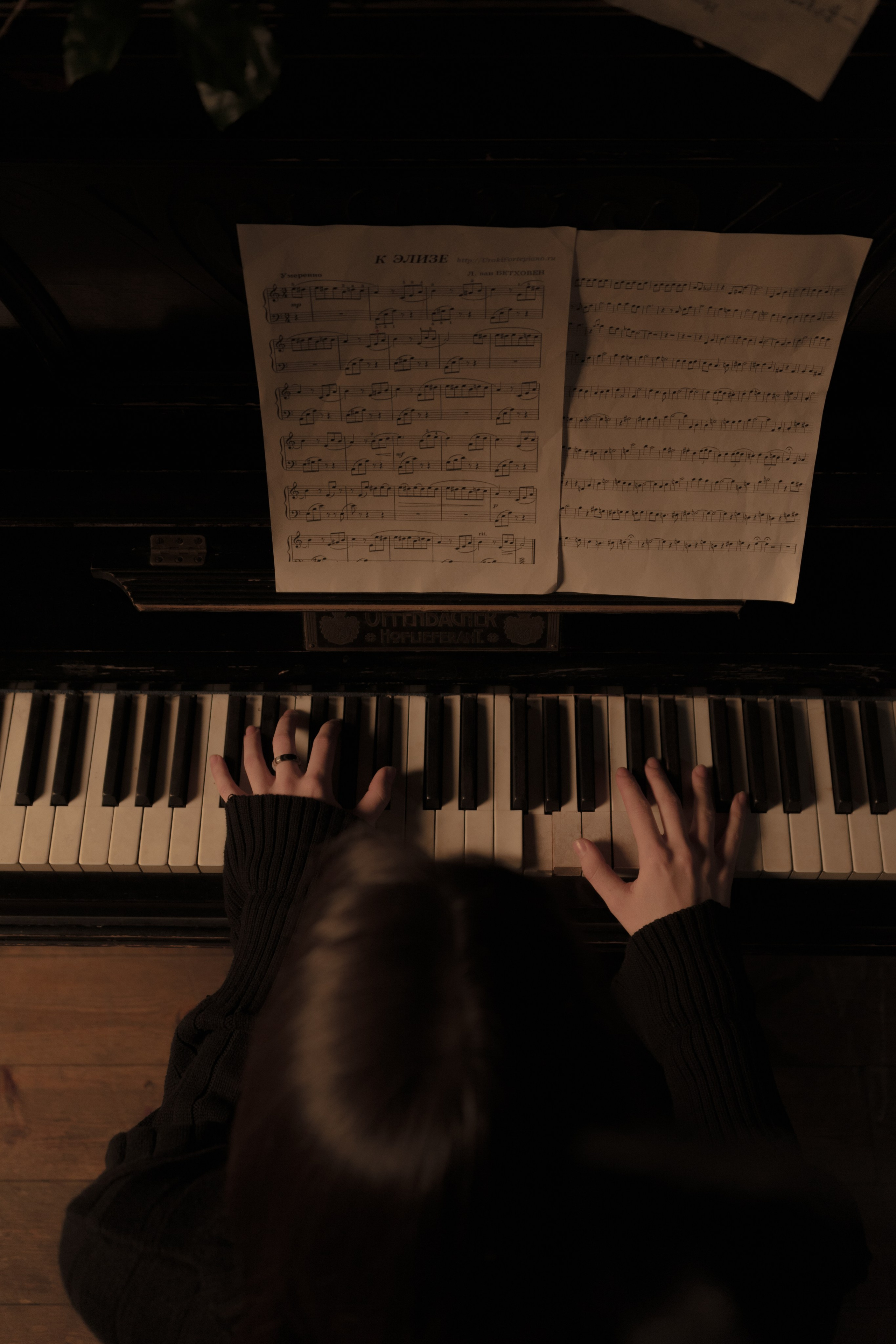 Вика. Фотограф Анисин Денис