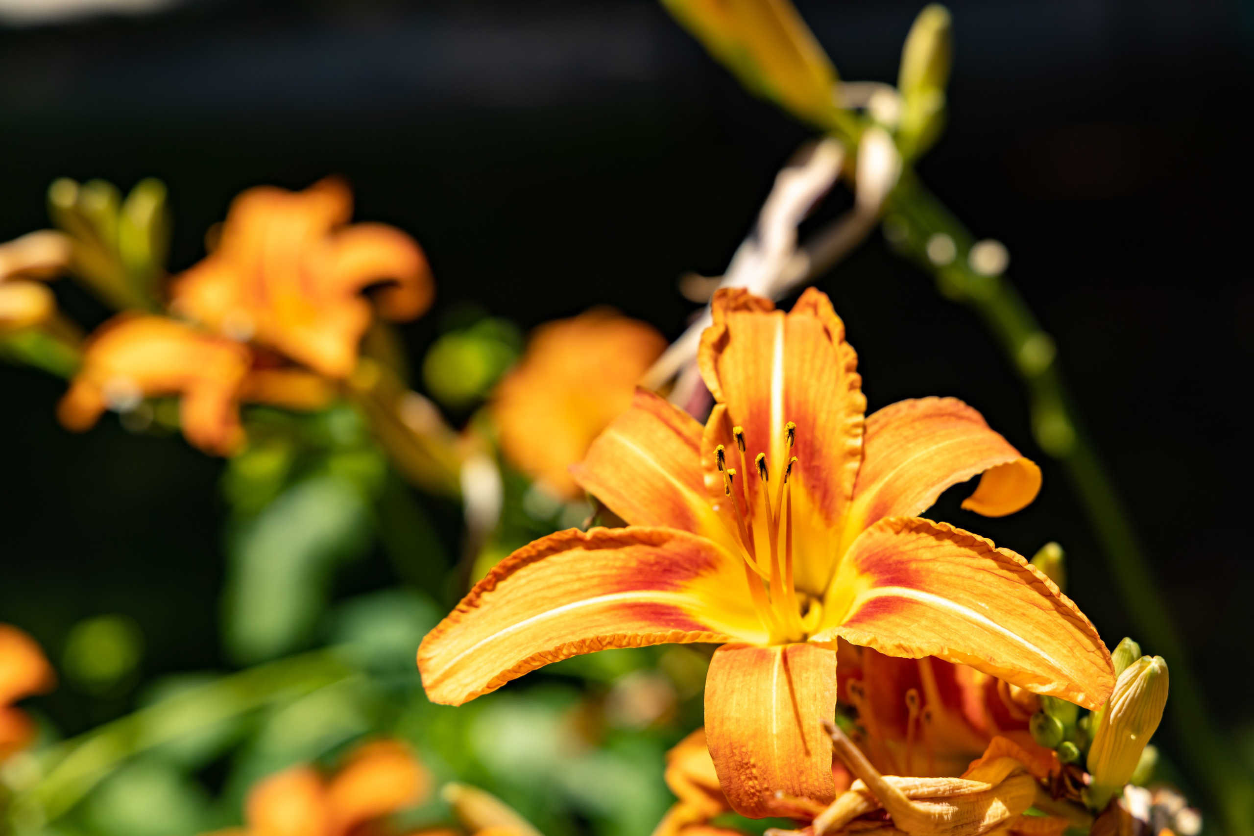 Сочи. Солох Аул. Репортажный, семейный и студийный фотограф в Москве Демин Алексей