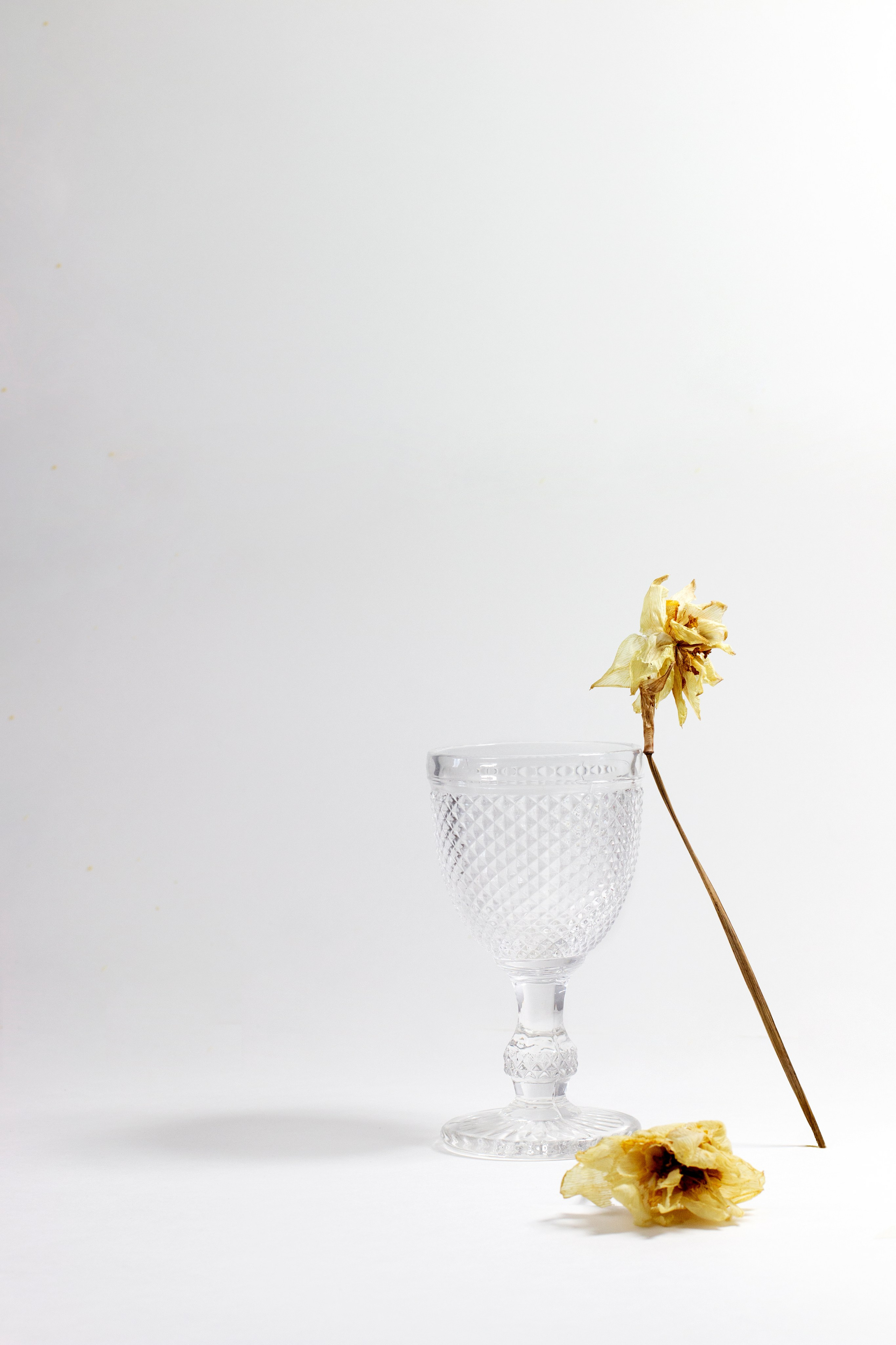 Предметная фотография. Фотограф Злата Спицына