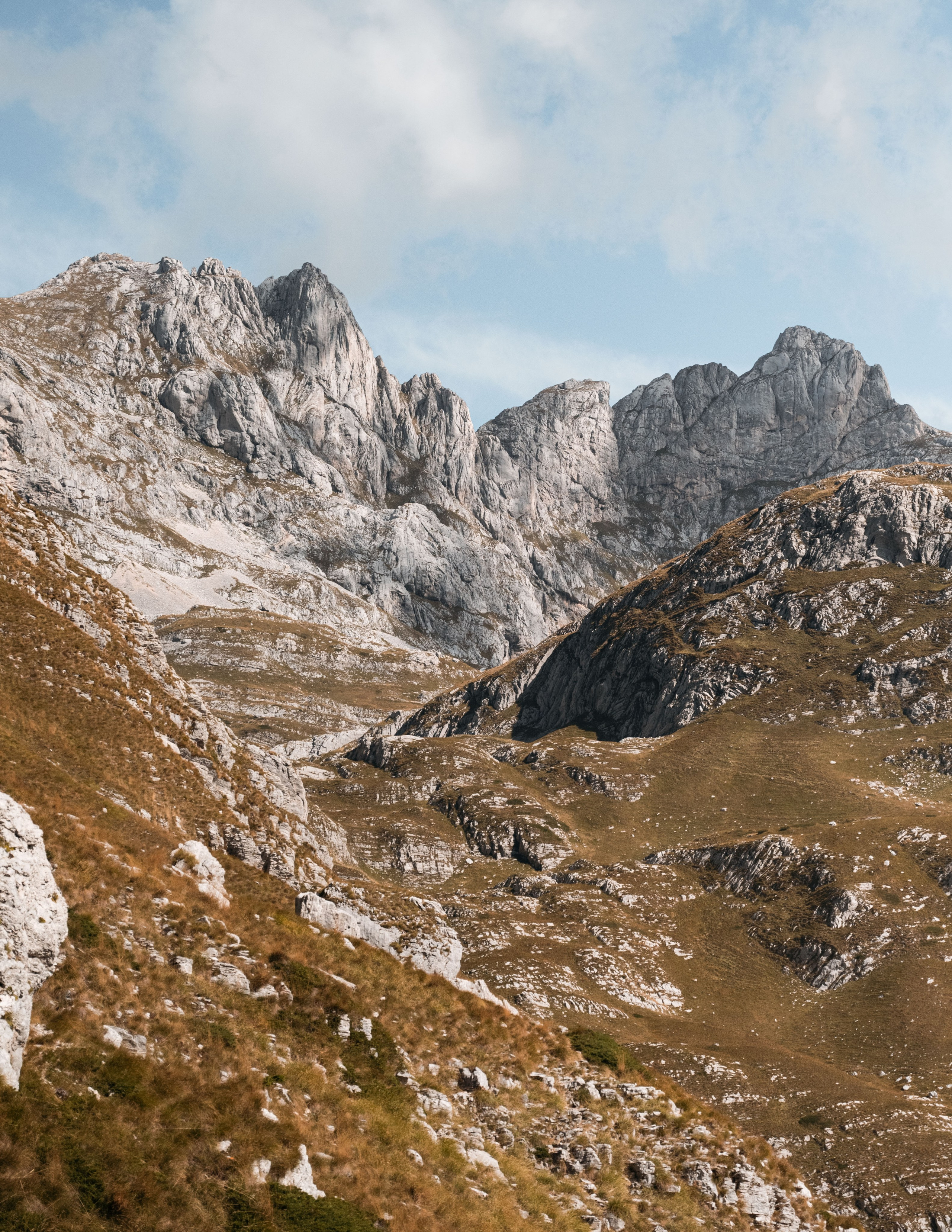 ПРУТАЖ. ЧЕРНОГОРИЯ. Фотограф в Белграде Чугреева Елена