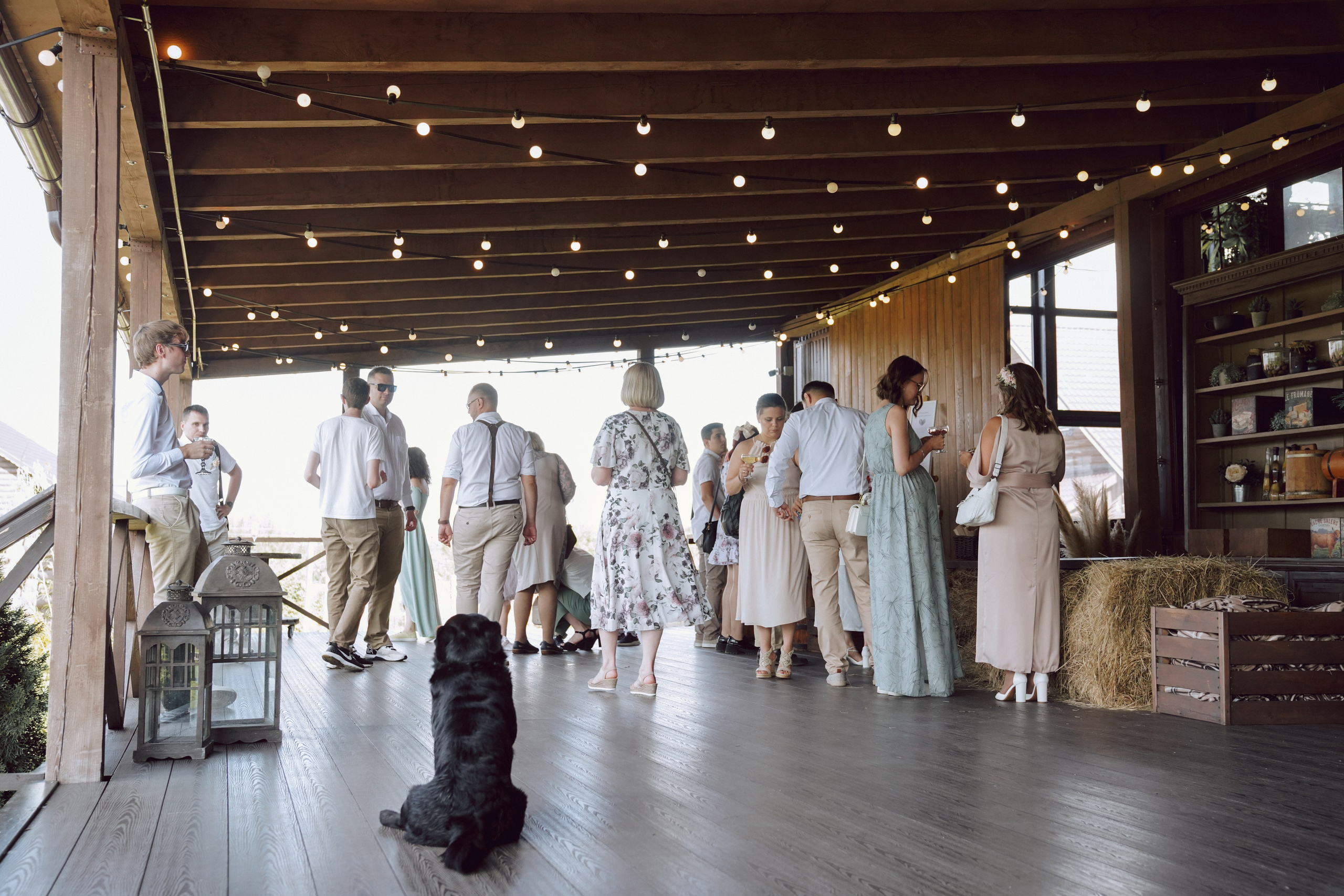 Дмитрий и Виктория. Свадебный и семейный фотограф Ястребова Маргарита