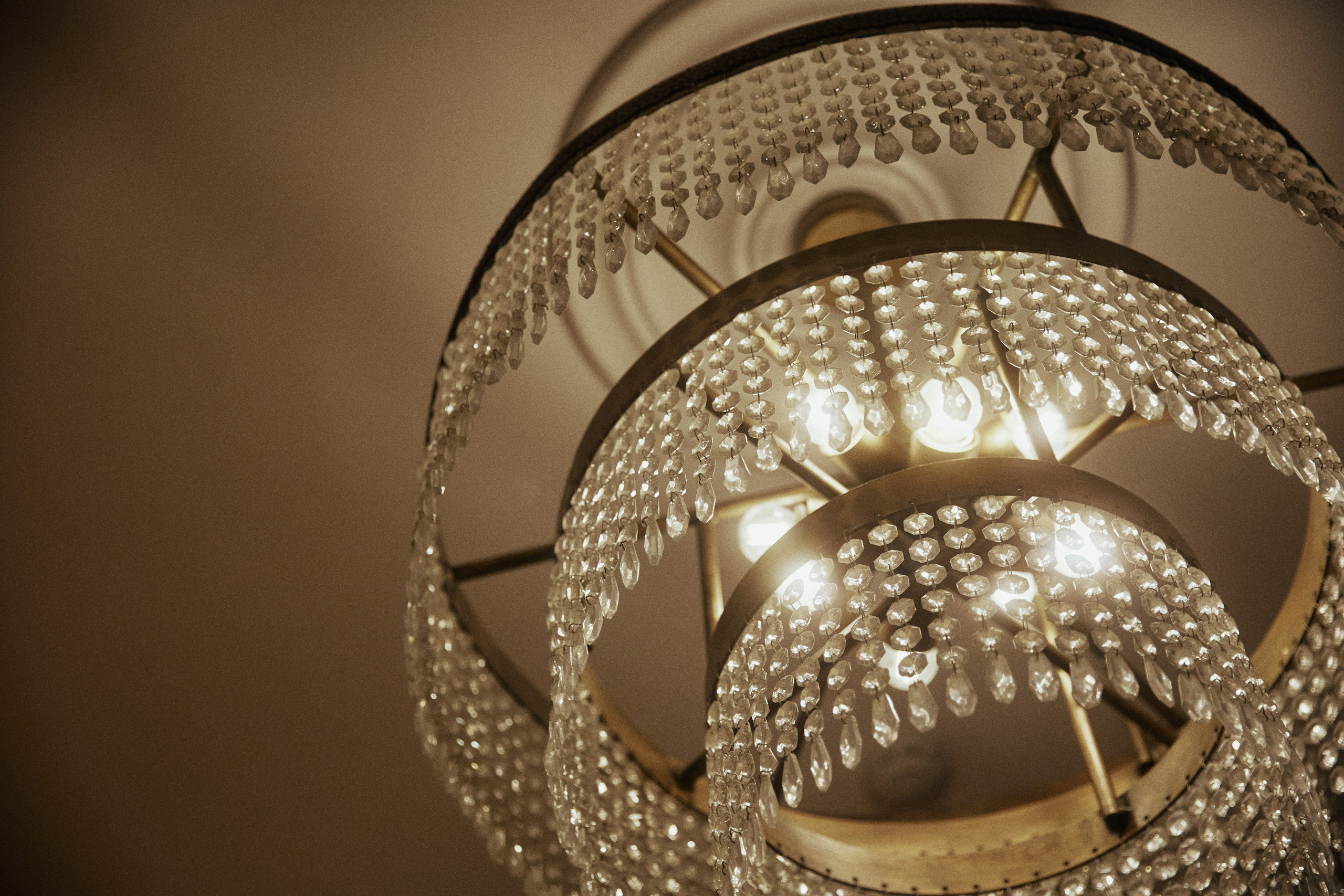 A NEW FAMILY TREE. Дмитрий Мазуркевич: Профессиональный Репортажный Фотограф