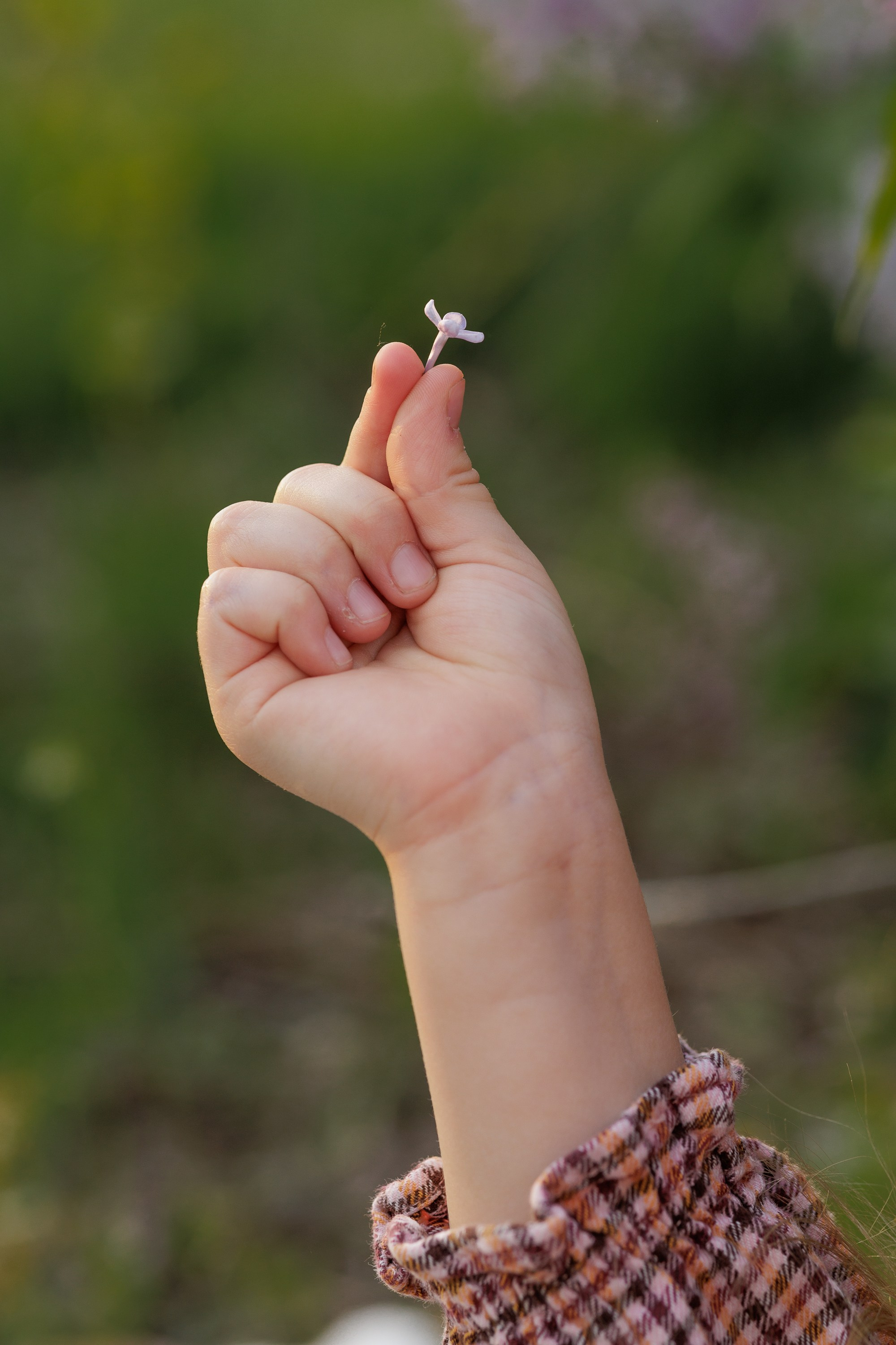 Детская. Женский и семейный фотограф Алина Влади