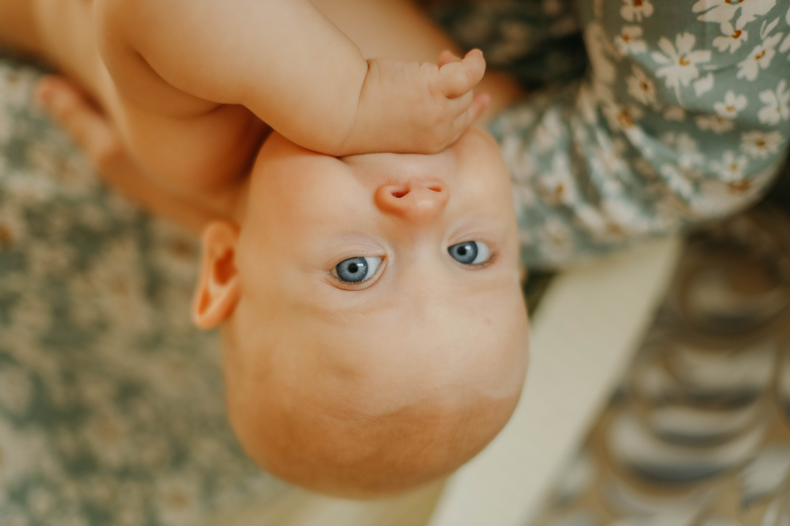 Катя, Дима, Матвей, Милана и Мирослава. Семейный фотограф Анапа