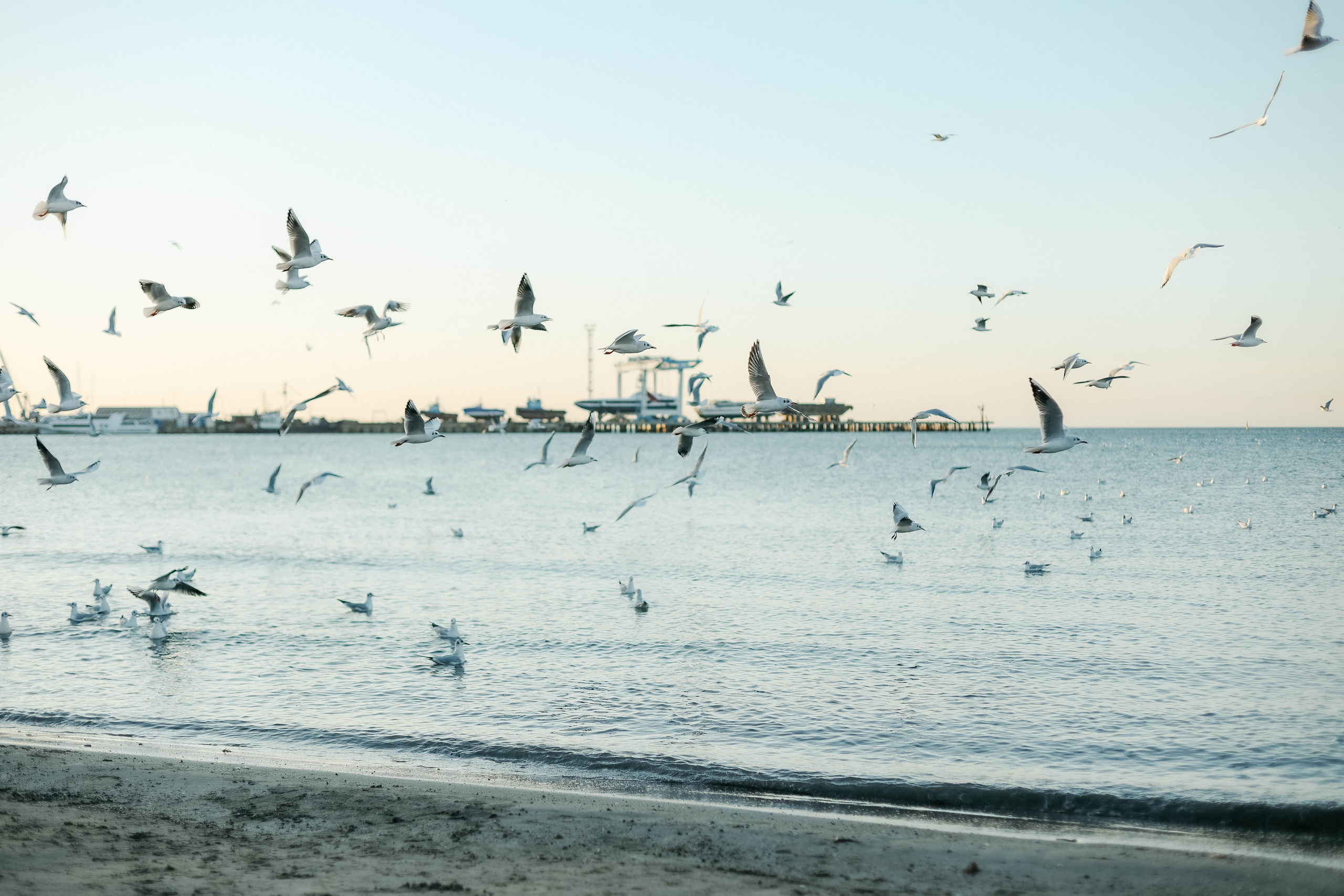 Алла и Артем. Семейный фотограф Анапа