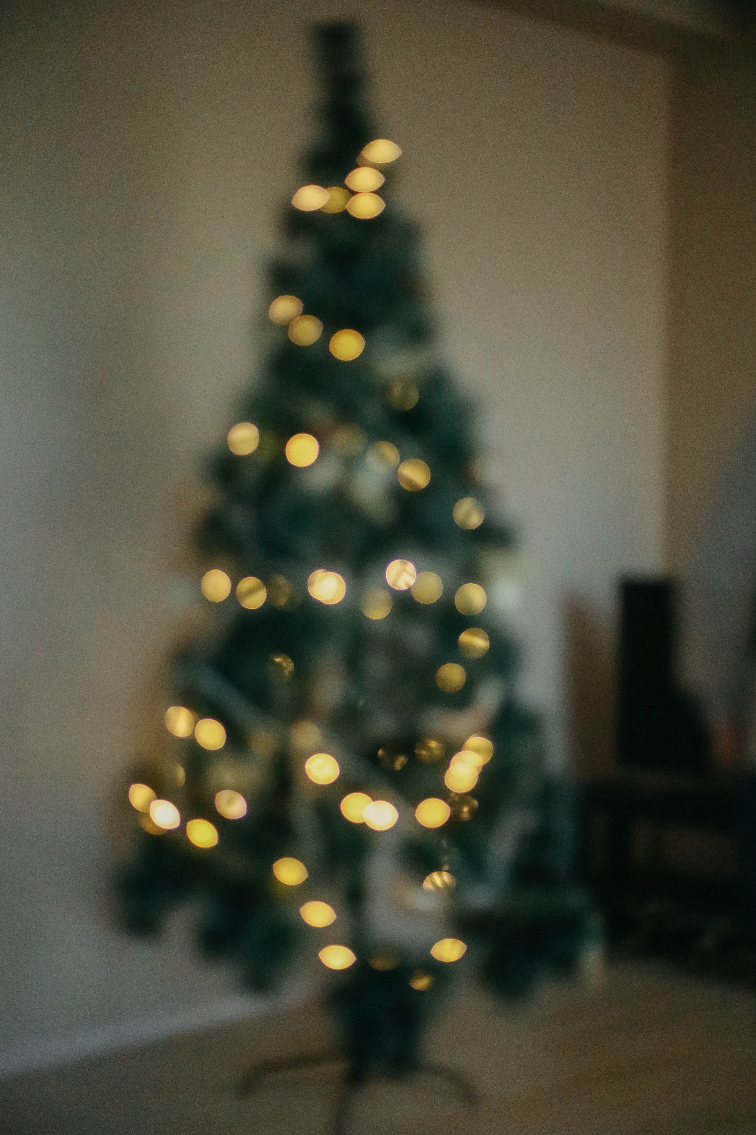 Новогодняя. Семейный фотограф Анапа