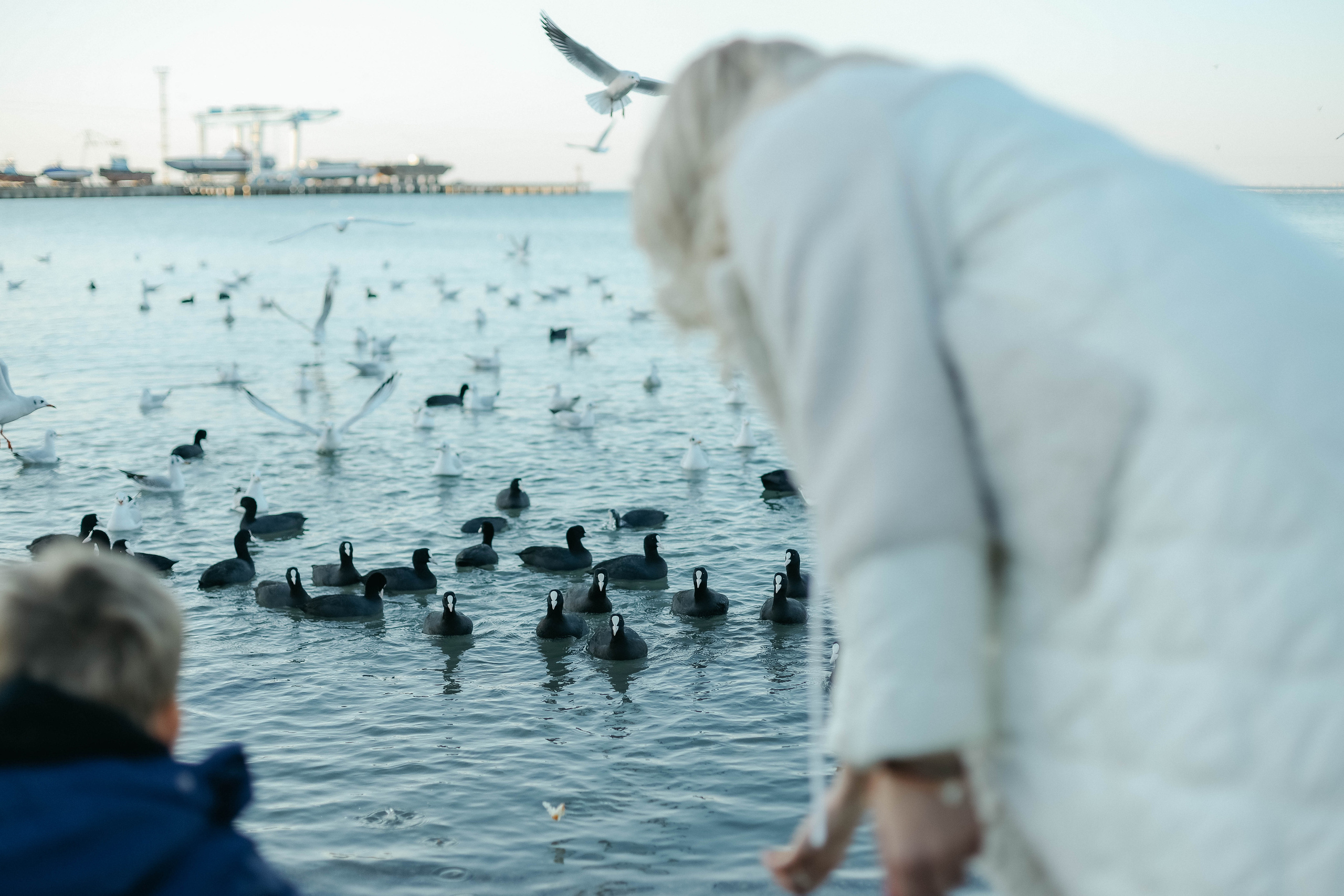 Алла и Артем. Семейный фотограф Анапа