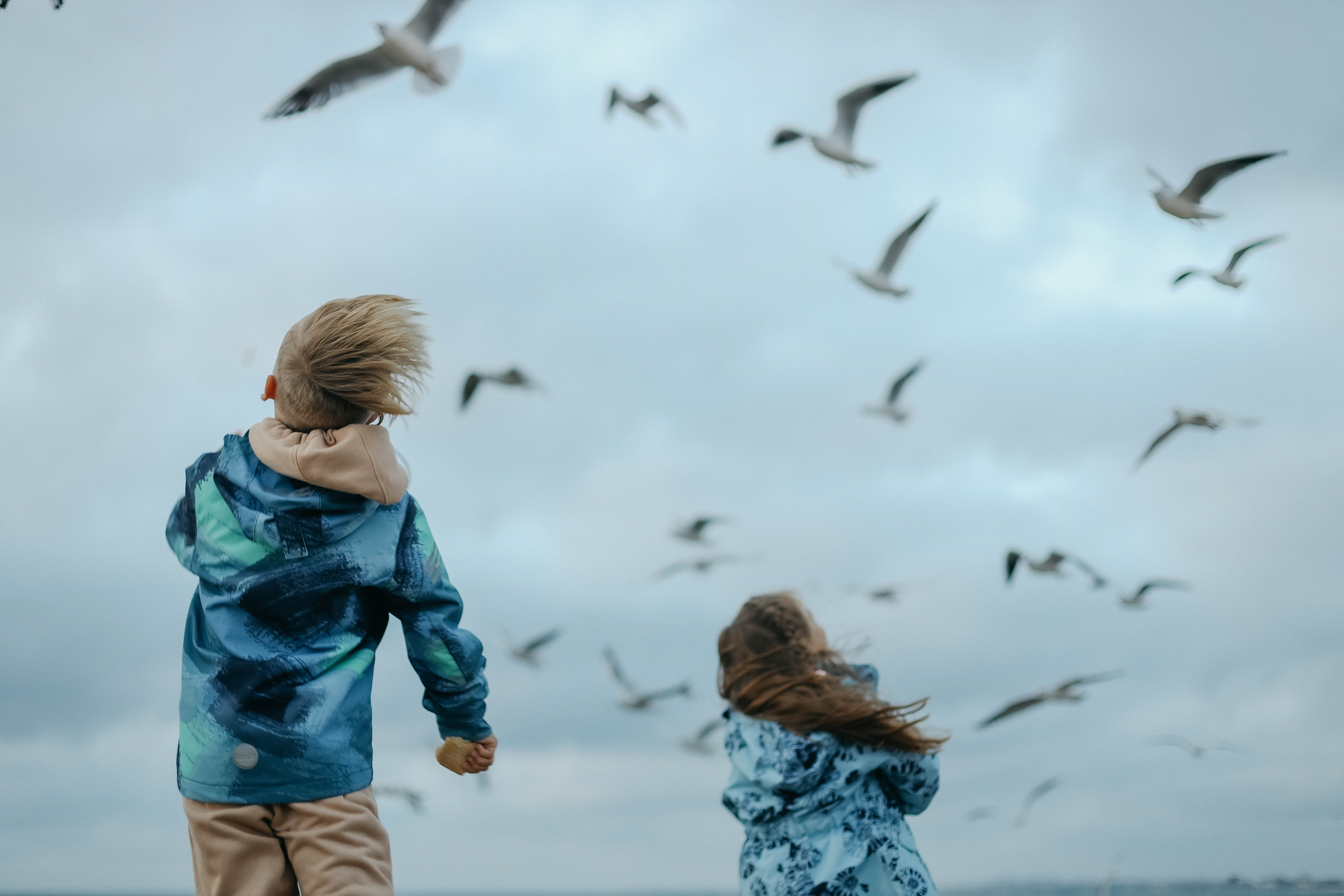 Катя, Дима, Матвей, Милана и Мирослава. Семейный фотограф Анапа