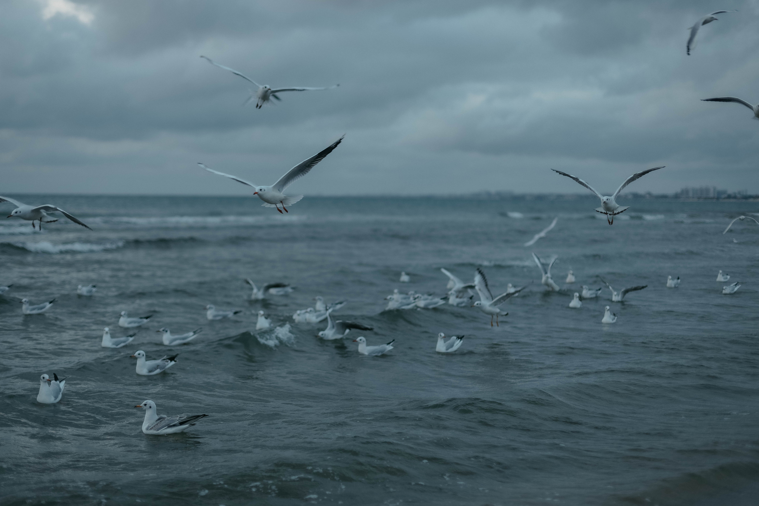 Катя, Дима, Матвей, Милана и Мирослава. Семейный фотограф Анапа