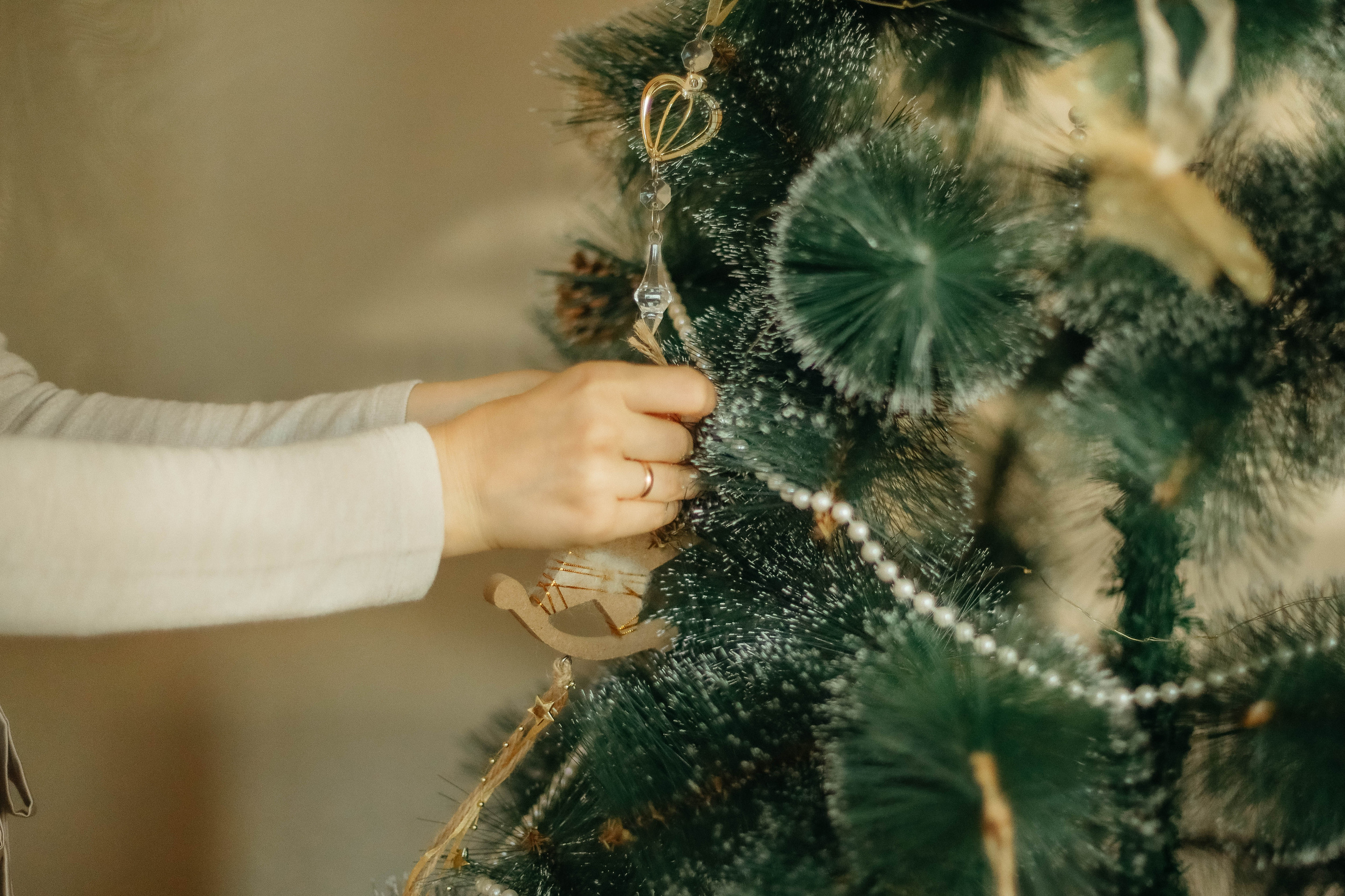 Новогодняя. Семейный фотограф Анапа