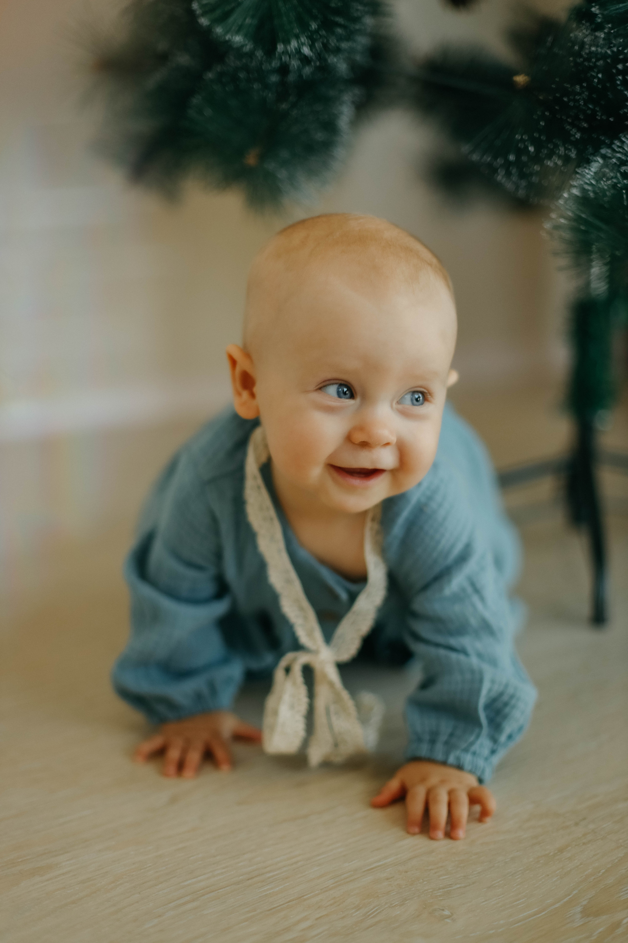 Новогодняя. Семейный фотограф Анапа