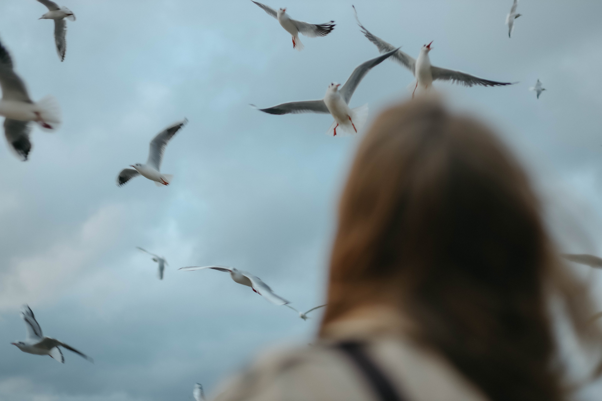 Катя, Дима, Матвей, Милана и Мирослава. Семейный фотограф Анапа