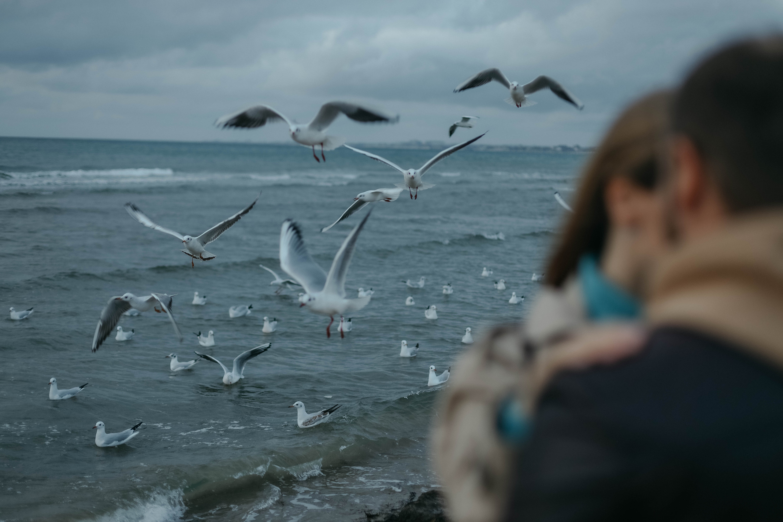 Катя, Дима, Матвей, Милана и Мирослава. Семейный фотограф Анапа