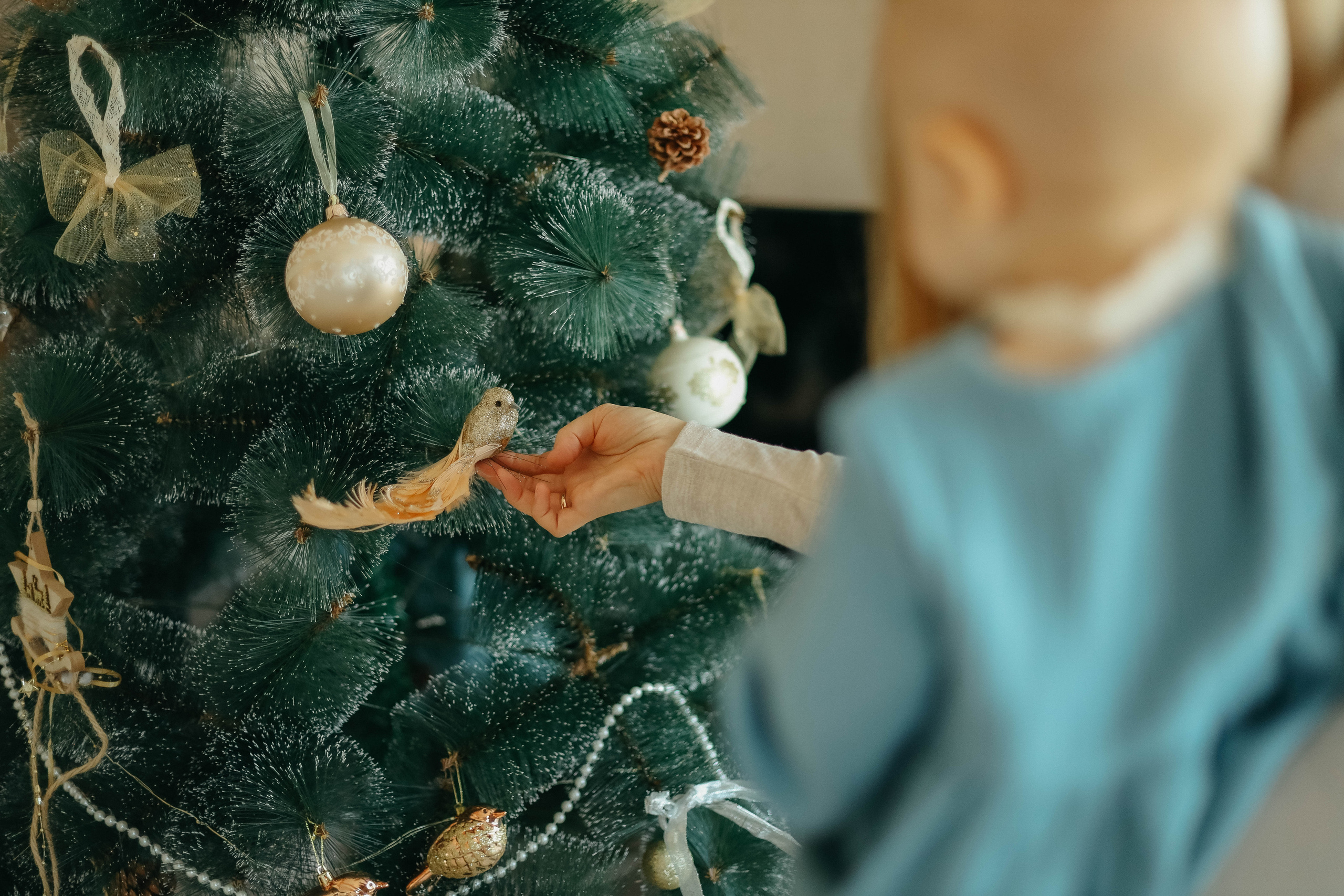 Новогодняя. Семейный фотограф Анапа