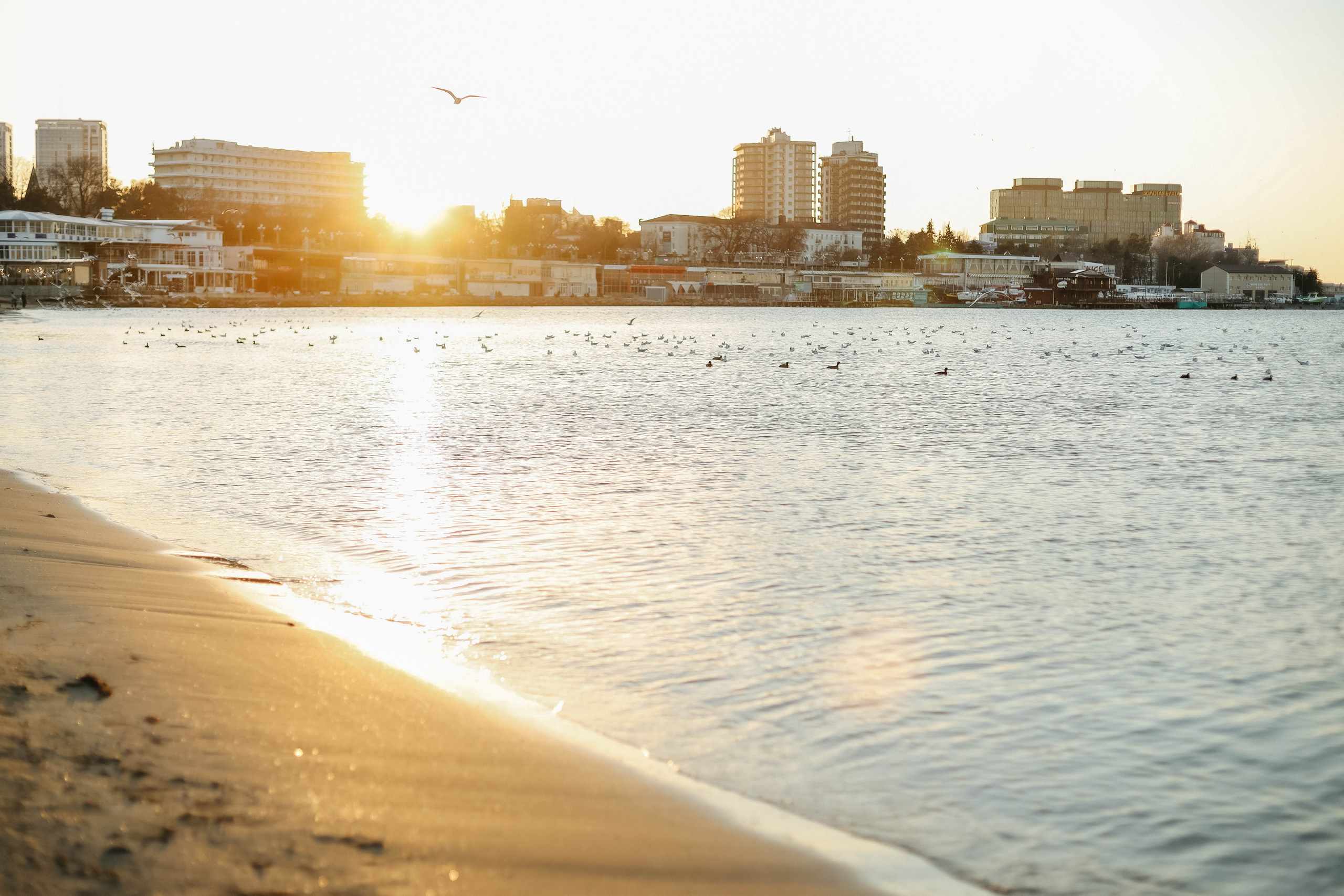 Алла и Артем. Семейный фотограф Анапа