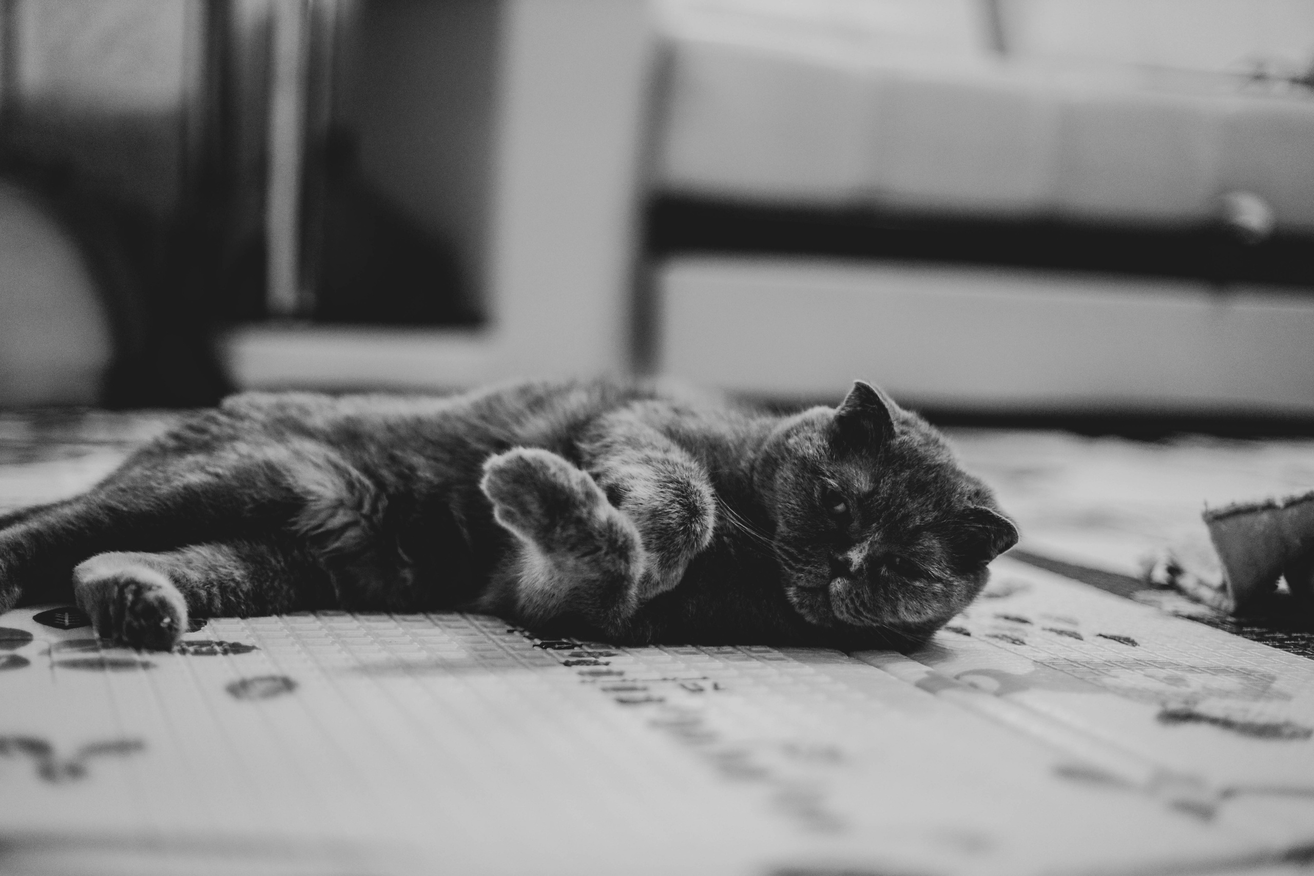 Алена, Ксюша и снежинки. Семейный фотограф Анапа