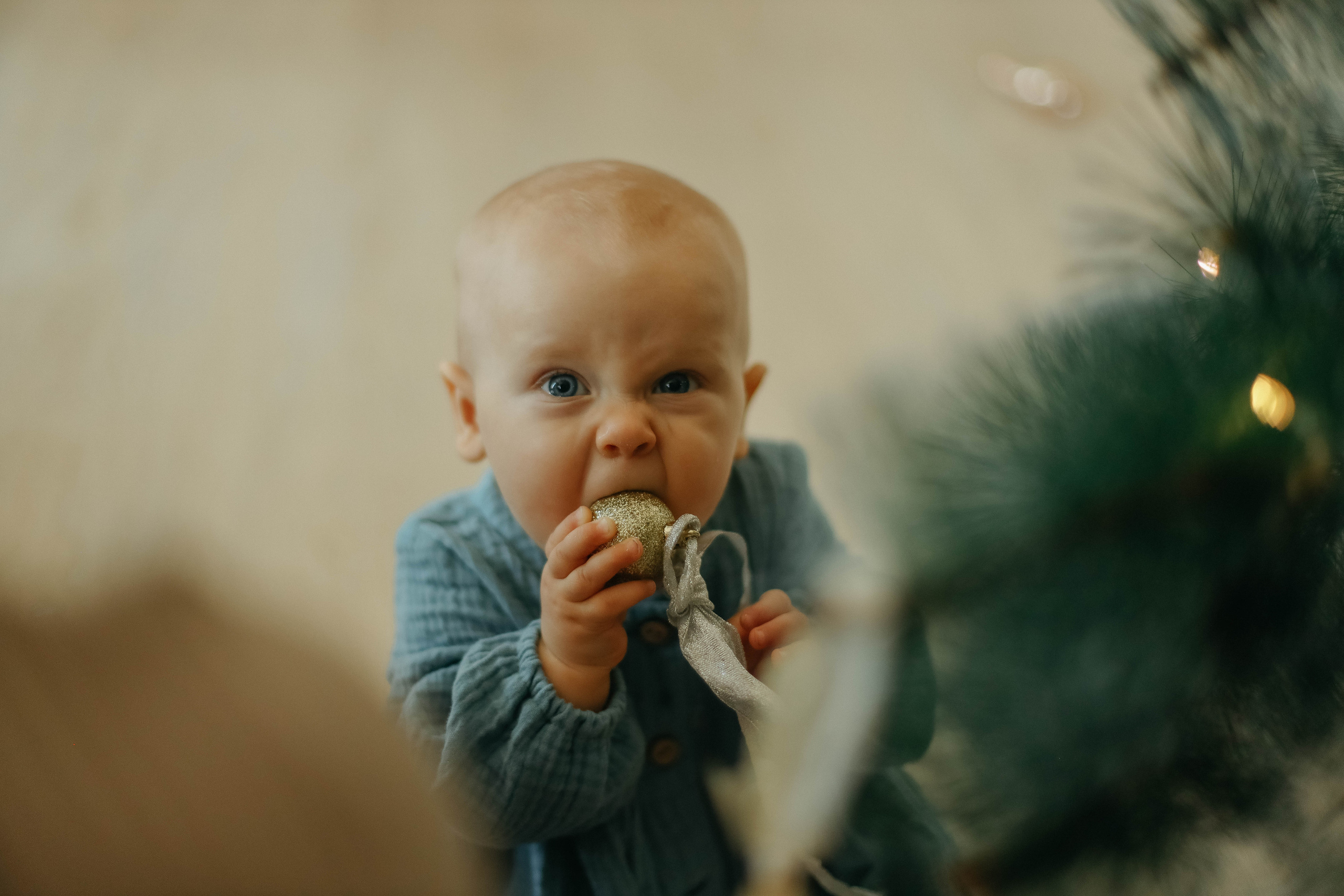 Новогодняя. Семейный фотограф Анапа