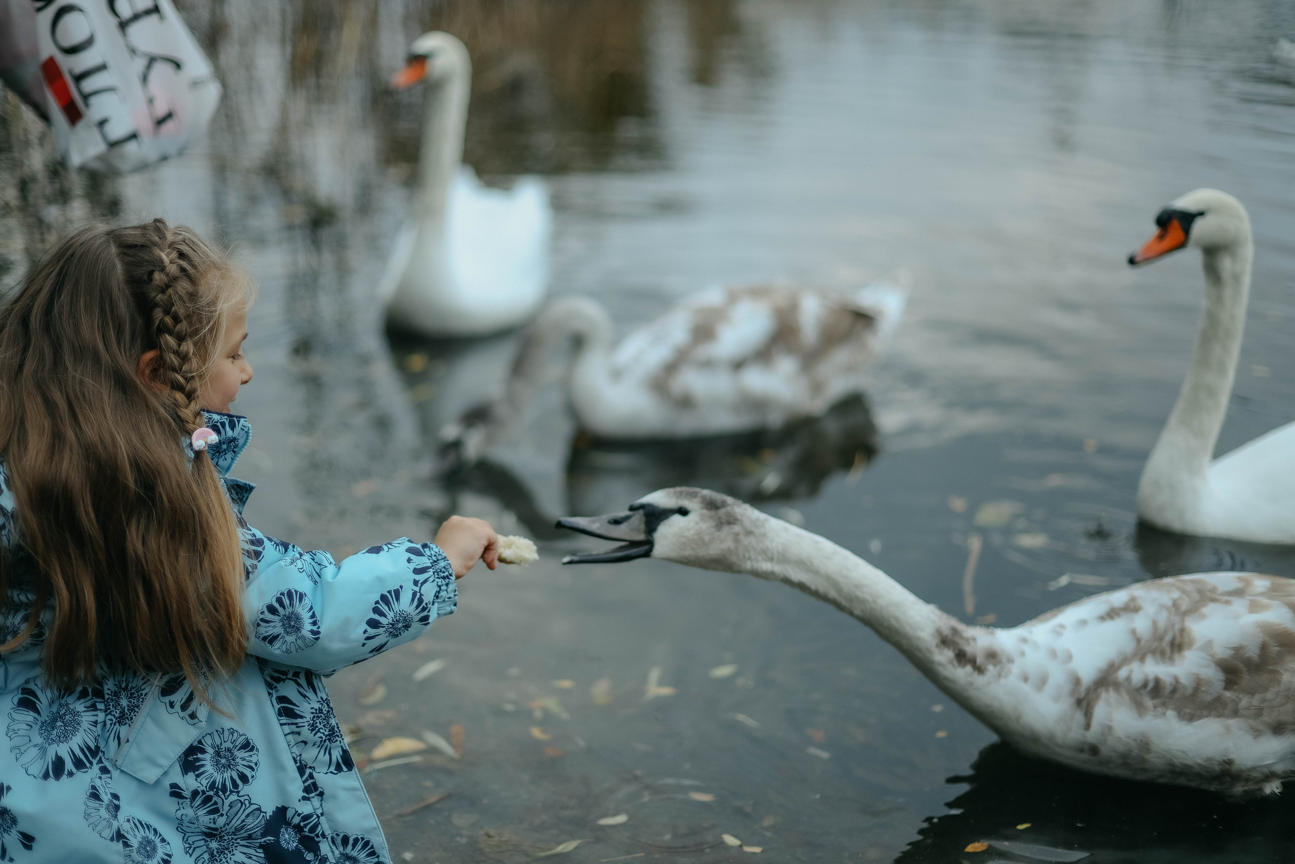 Катя, Дима, Матвей, Милана и Мирослава. Семейный фотограф Анапа