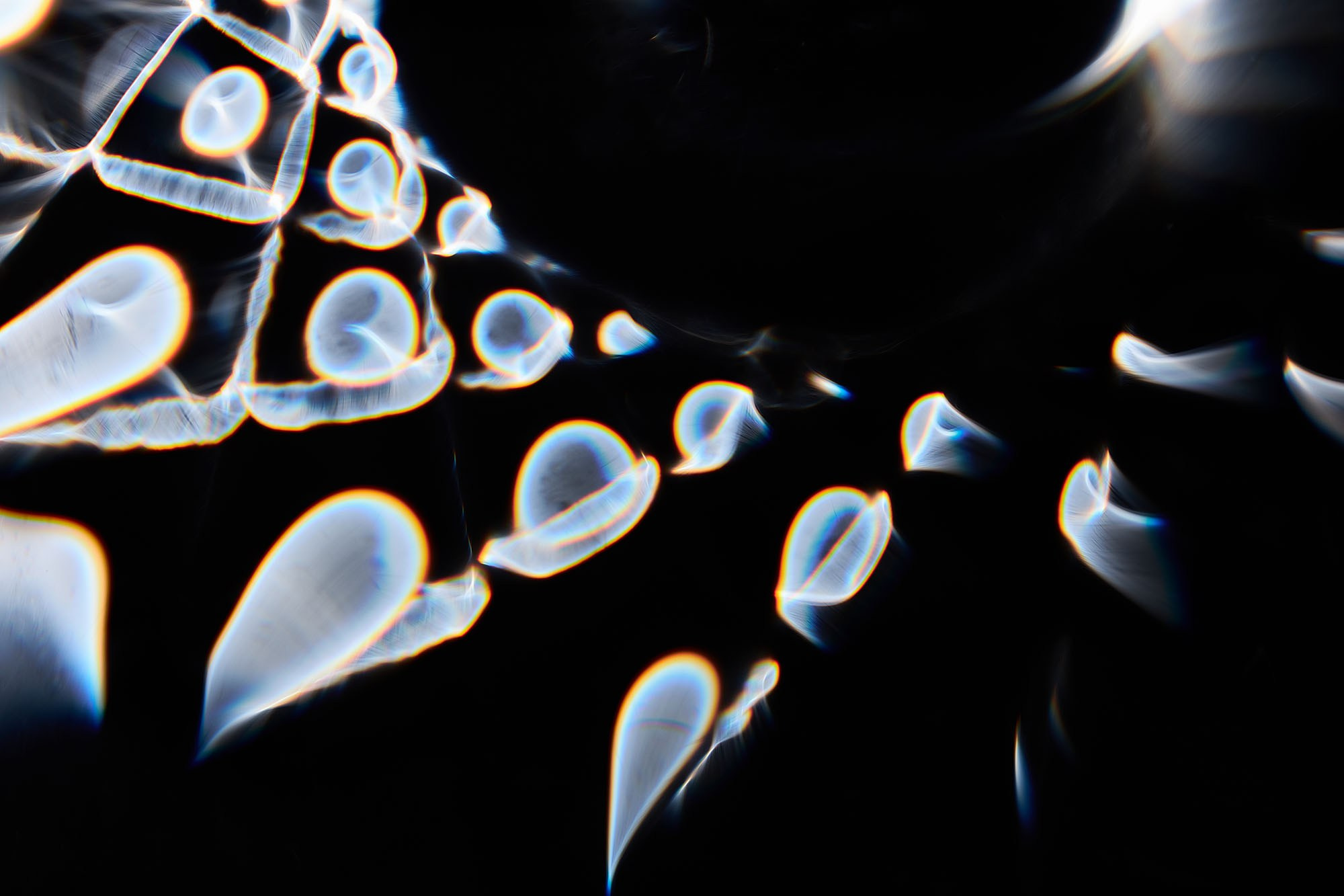 Макро-абстракция «Блики» | Лимитированная серия. Sandra Marselly | Абстрактная Макро-Фотография