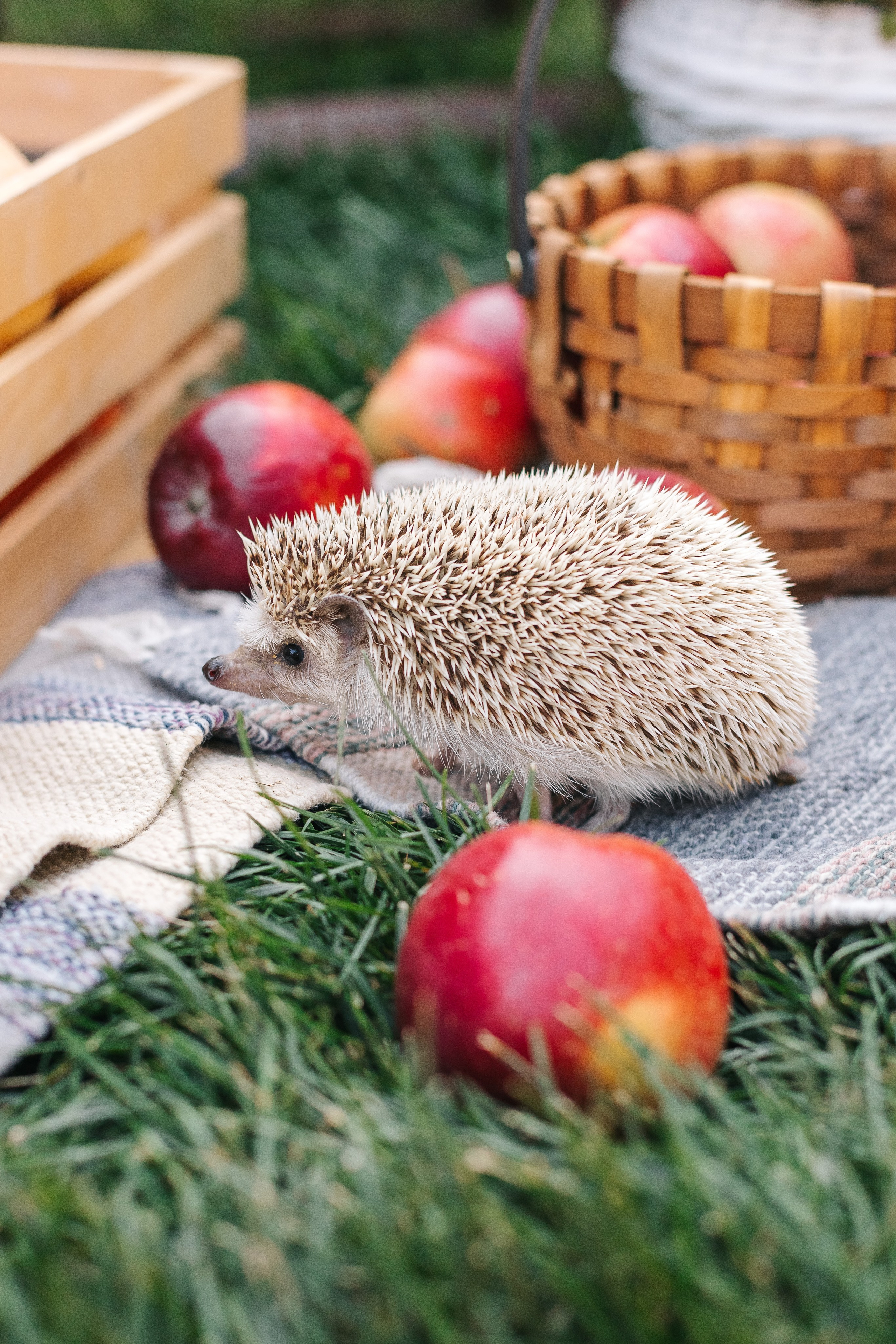 Осенний ФОТОДЕНЬ. Фотограф Марина Верятинская | Краснодар
