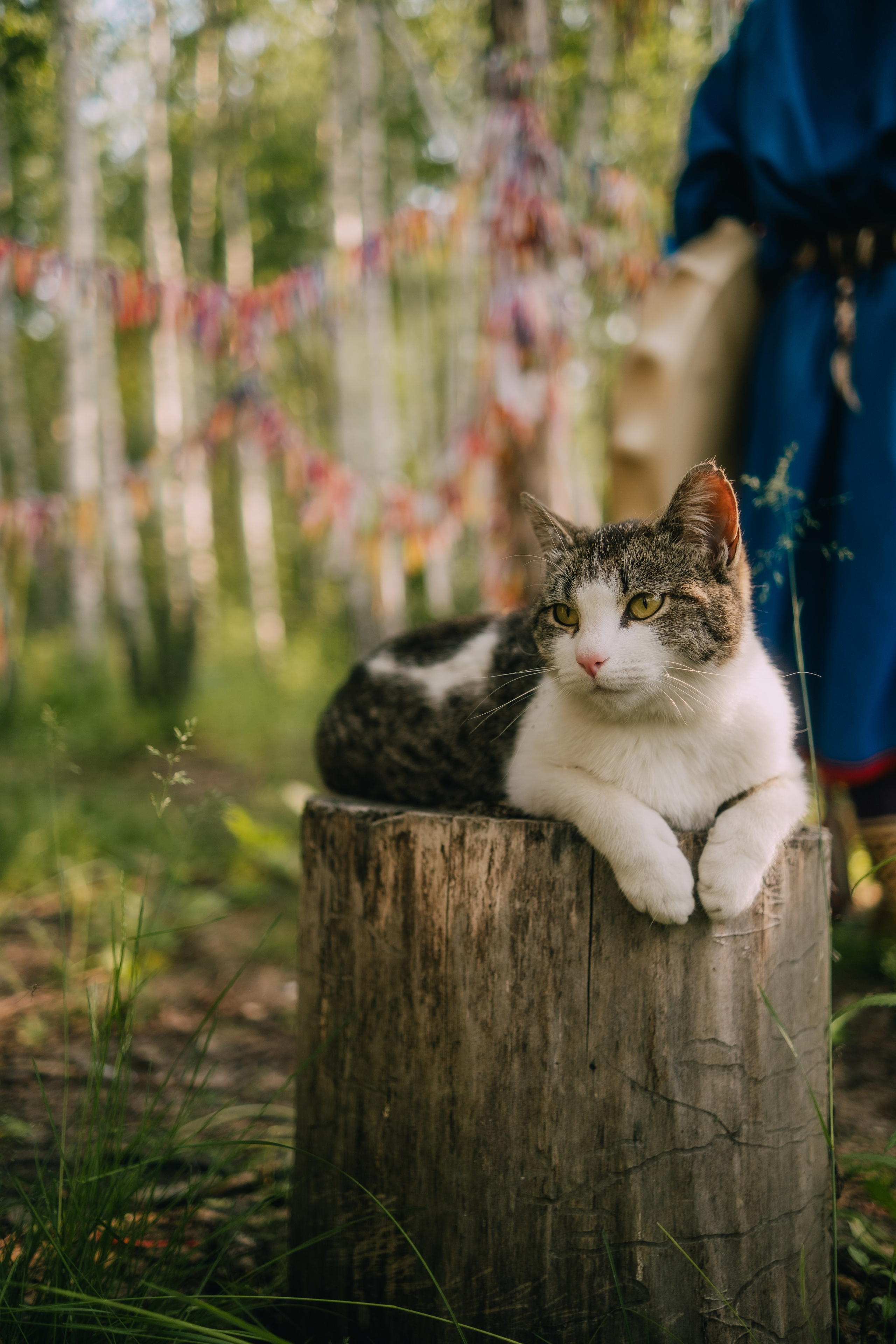 Выезд на этностойбище ресторан — музей «Чум». Фотограф в Тюмени Кирилл Марфин