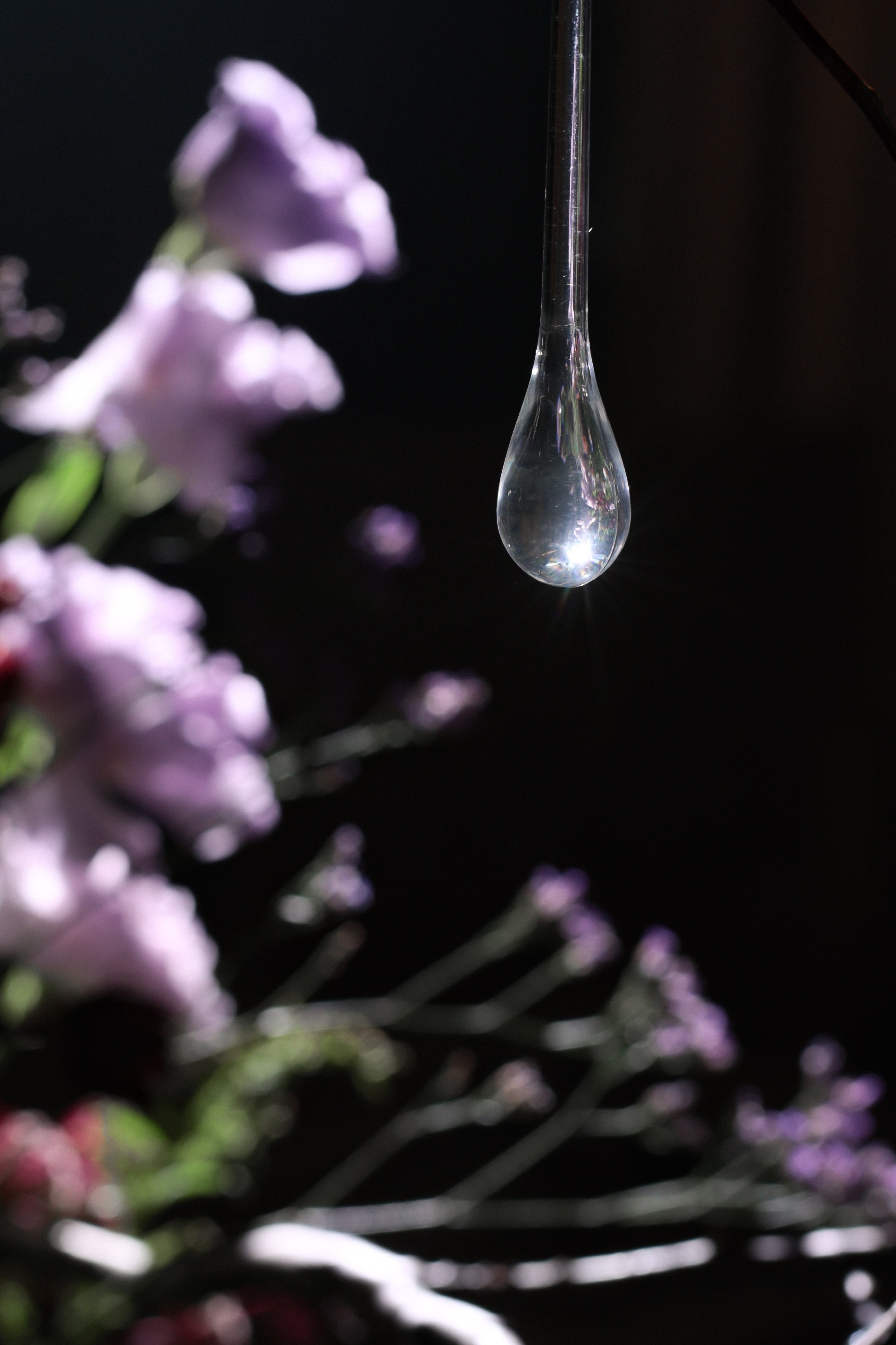 Фото: Аня Романова