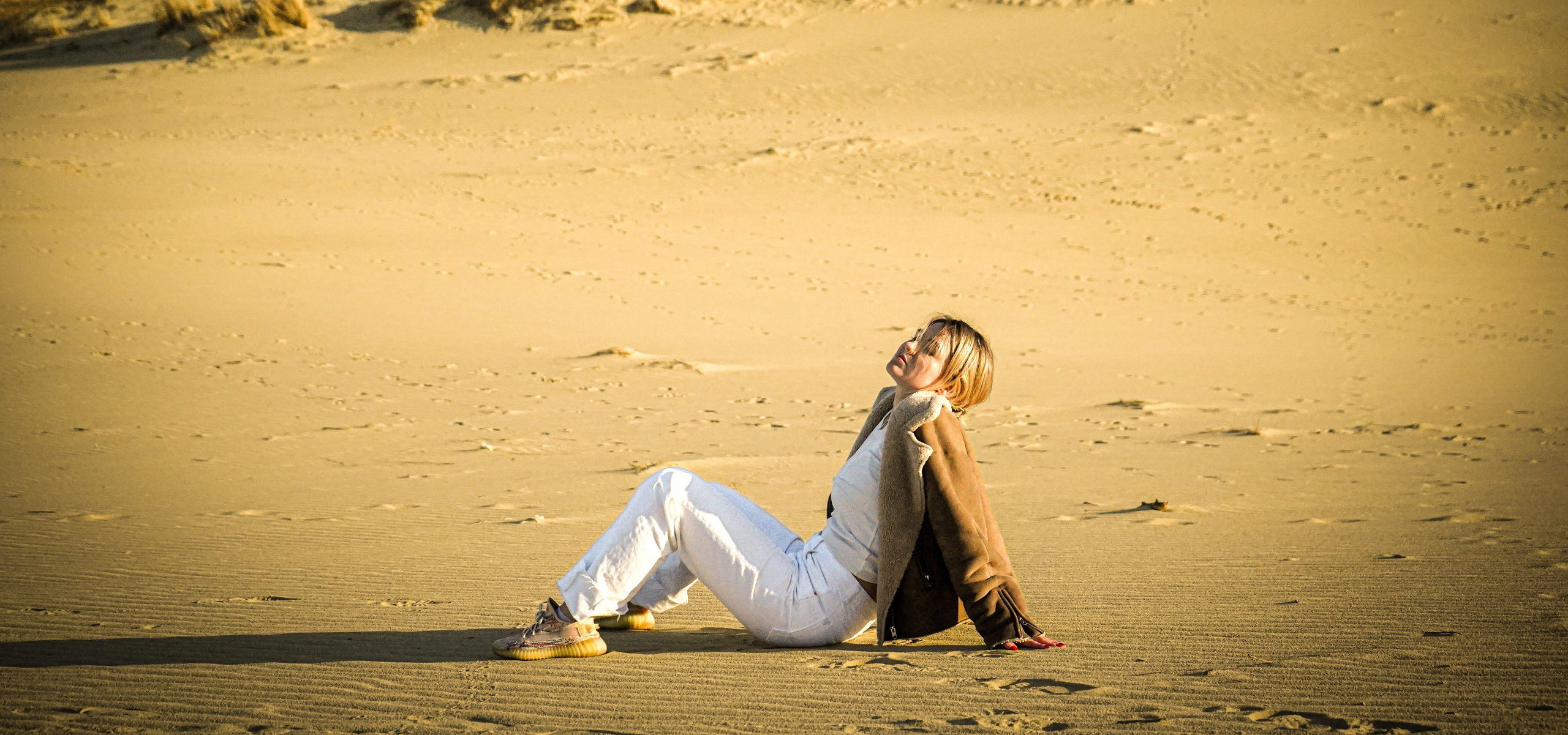 Галерея. Beardy Pix