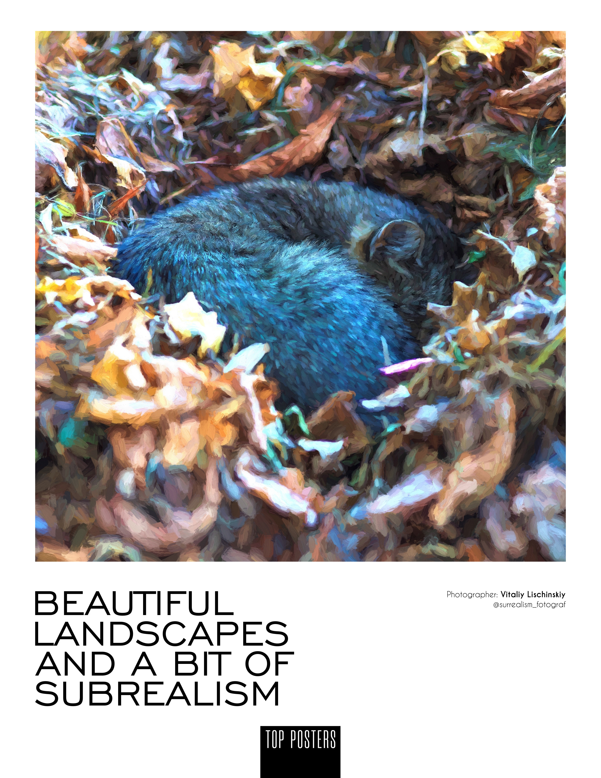 My publications in printed publications, magazines. Фотограф (photographer) Lischinski Vitaliy