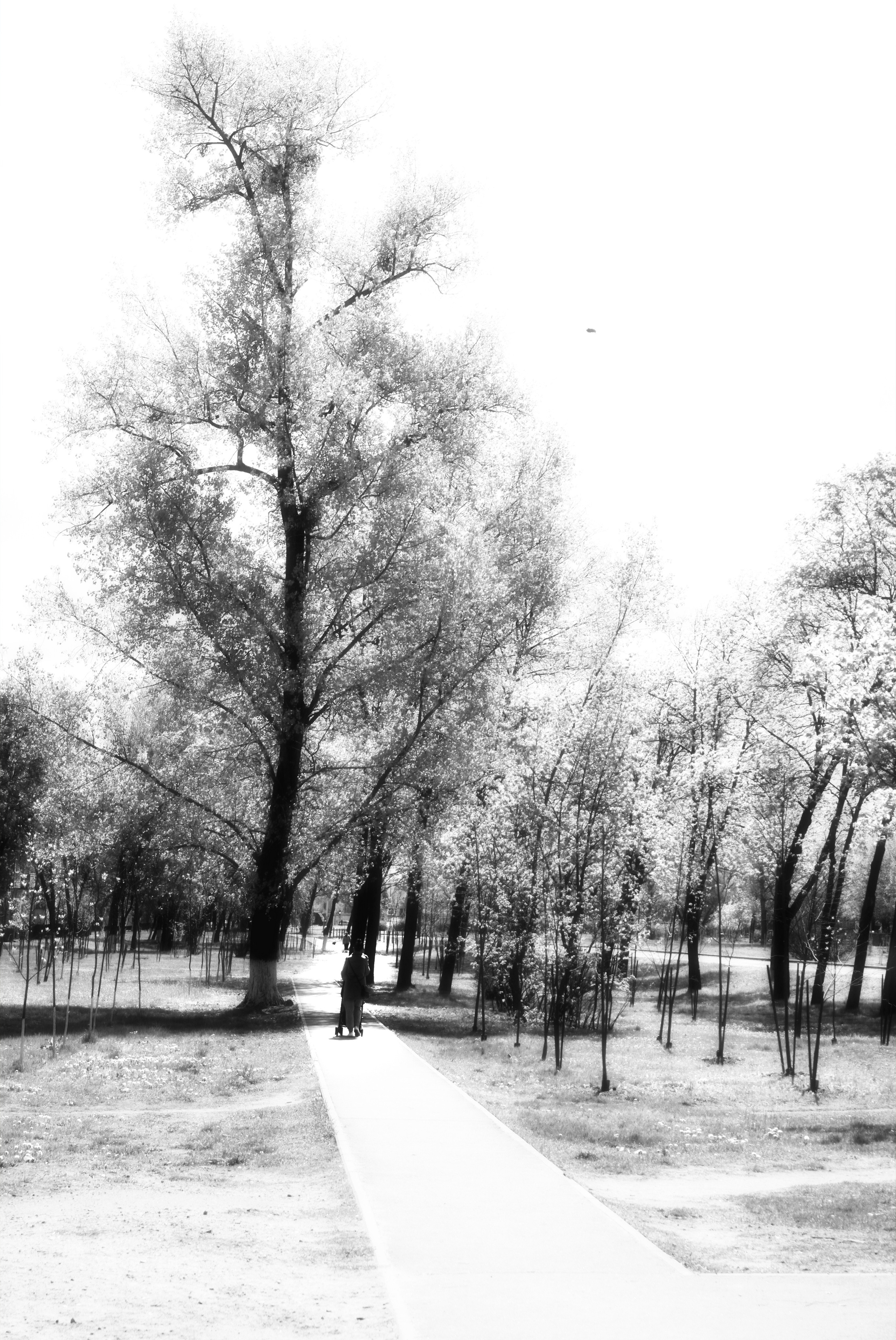 Street photo. Фотограф (photographer) Lischinski Vitaliy